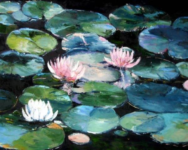 The water lilies in Bali. 