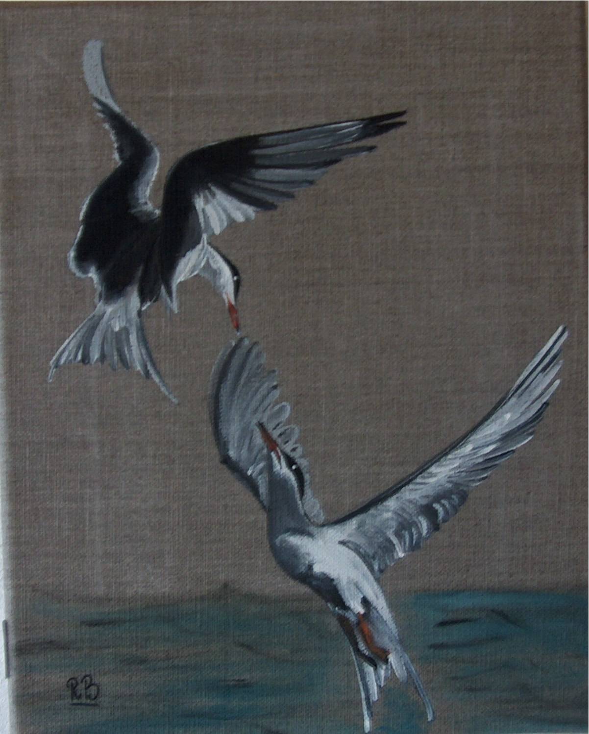 Envol terns. 