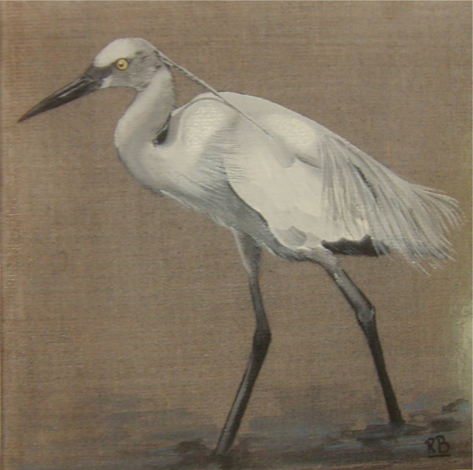 Egret Marsh Vendée. 