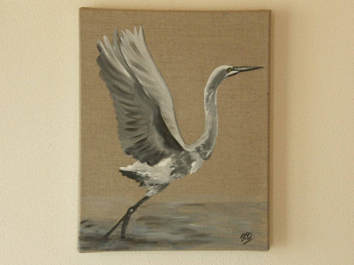 Aigrette. 