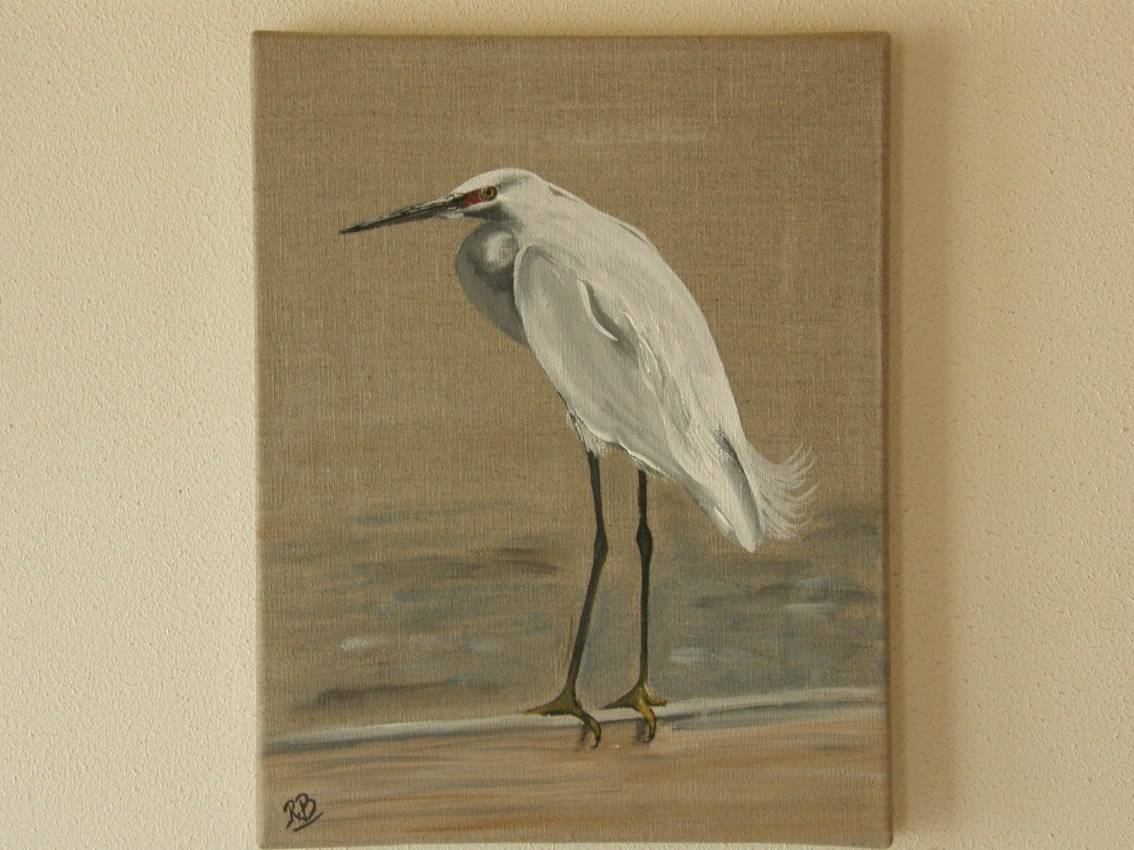 Egret at rest. 