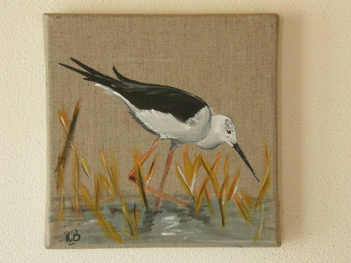 Stilt white. 