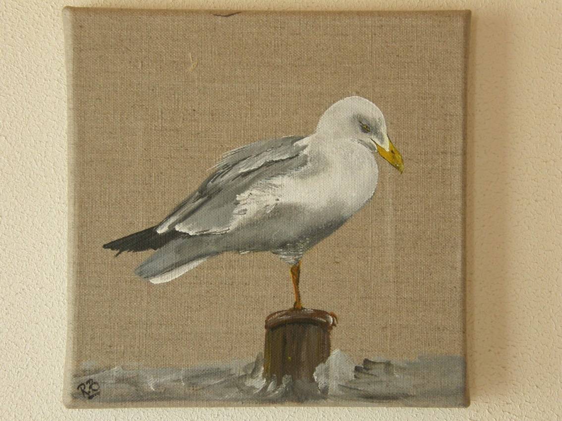 Seagull. 