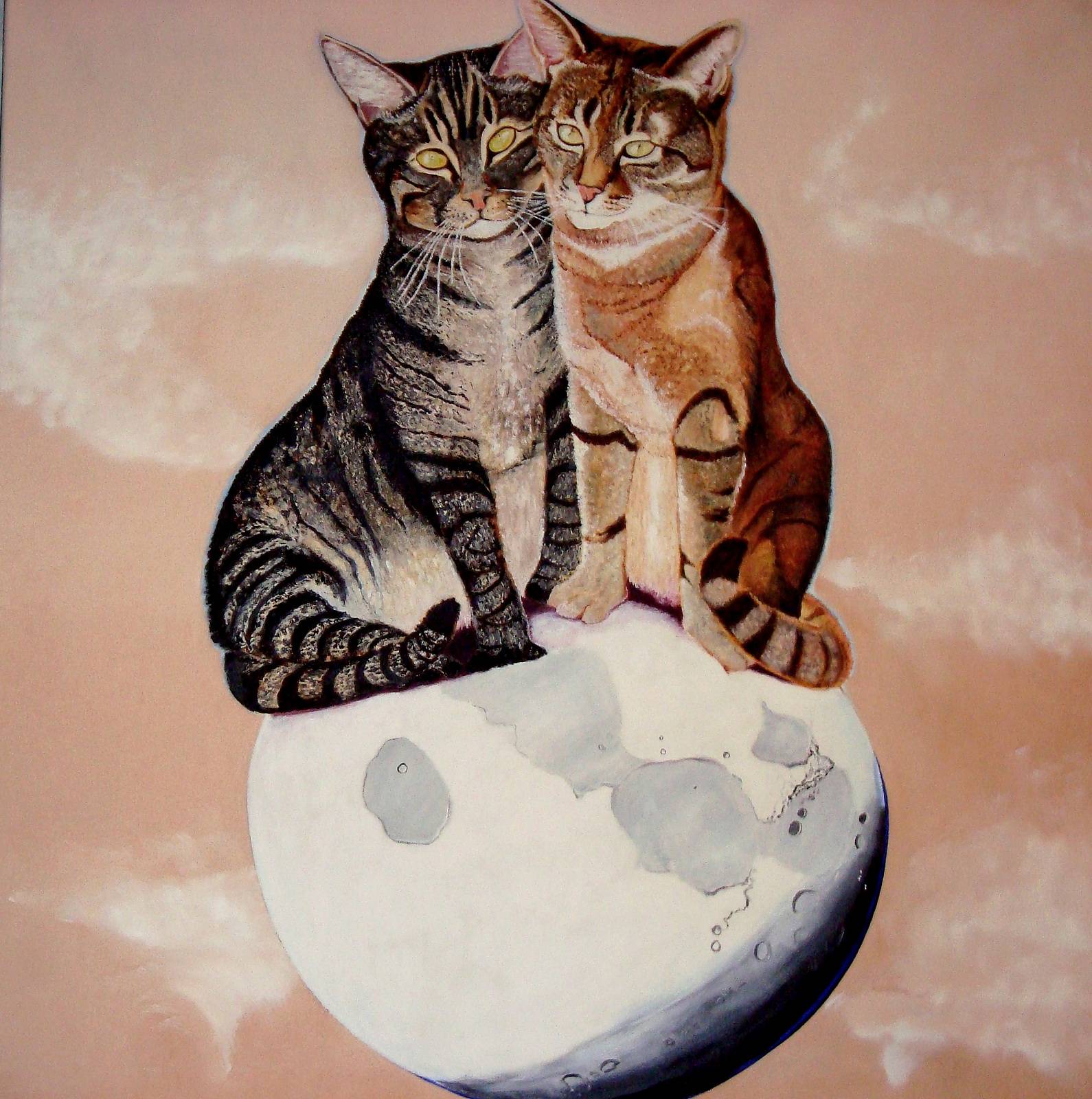 Cats on the moon.  Lauferartsuisse