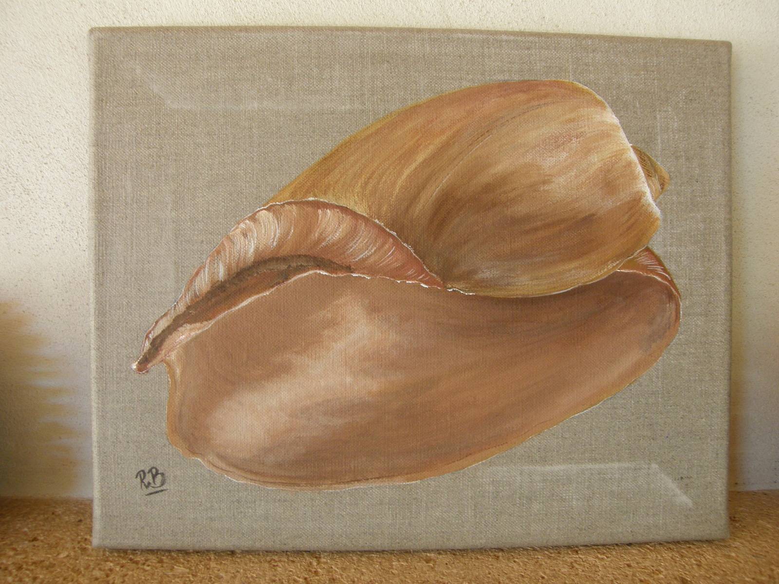 Shell. 