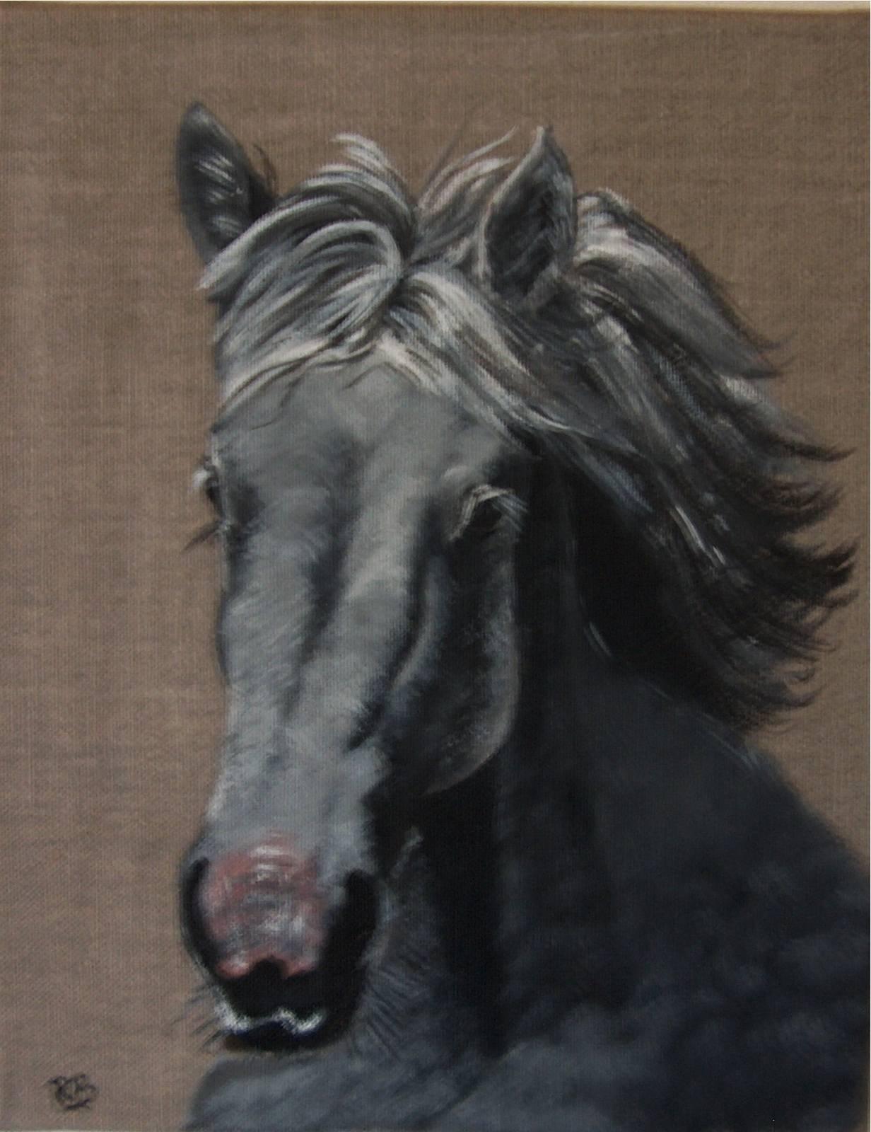 Gallop. 