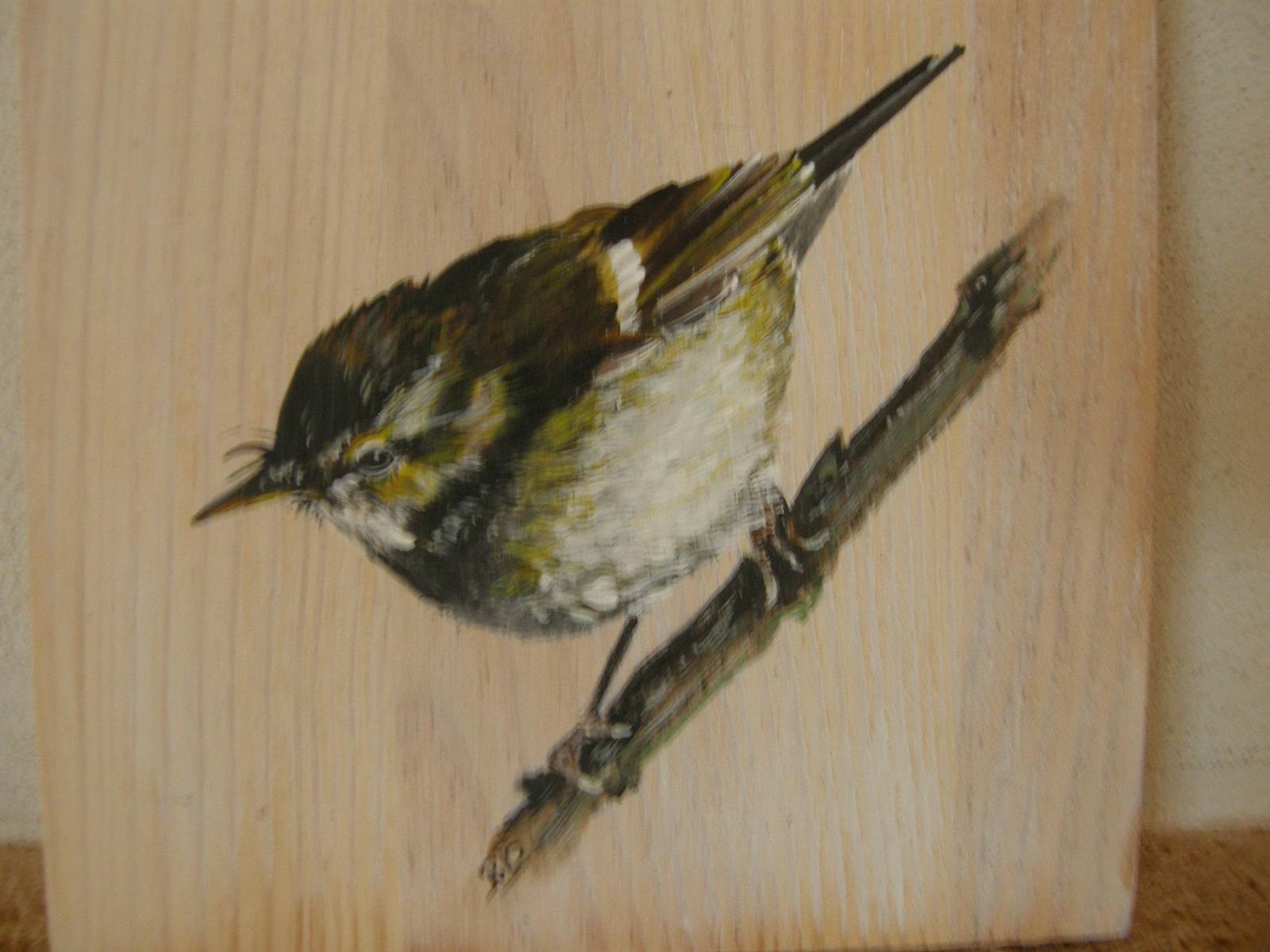 Small warbler. 