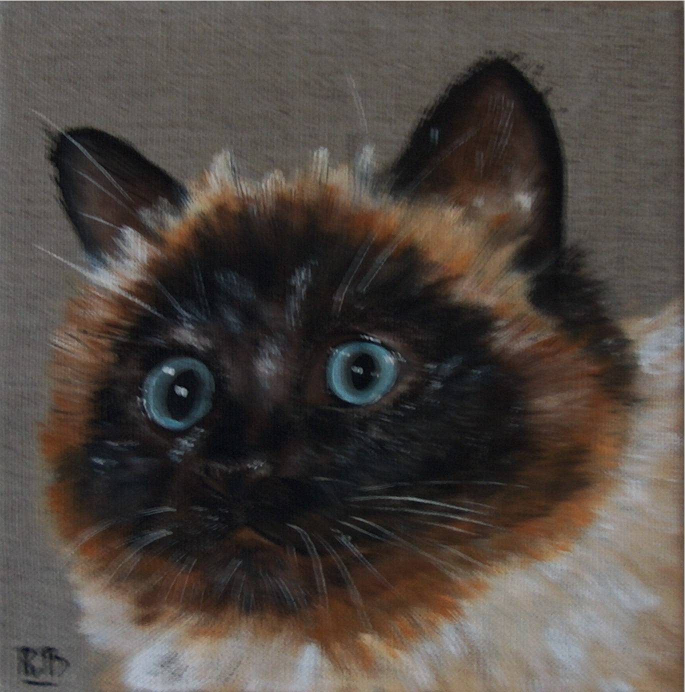 Kitten. 