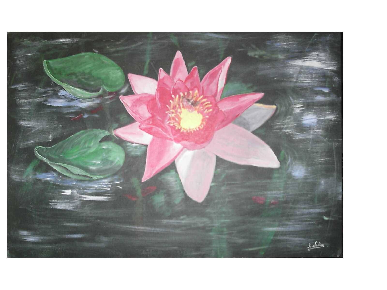 Nenuphar. Daniel Tournay