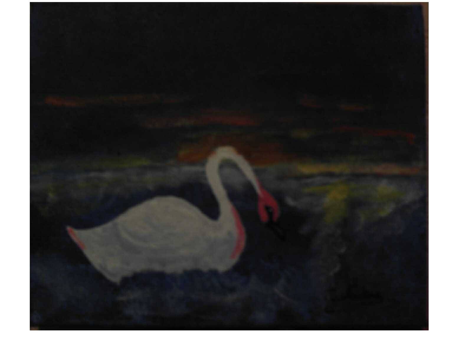 Solitude. Daniel Tournay Daniel Tournay