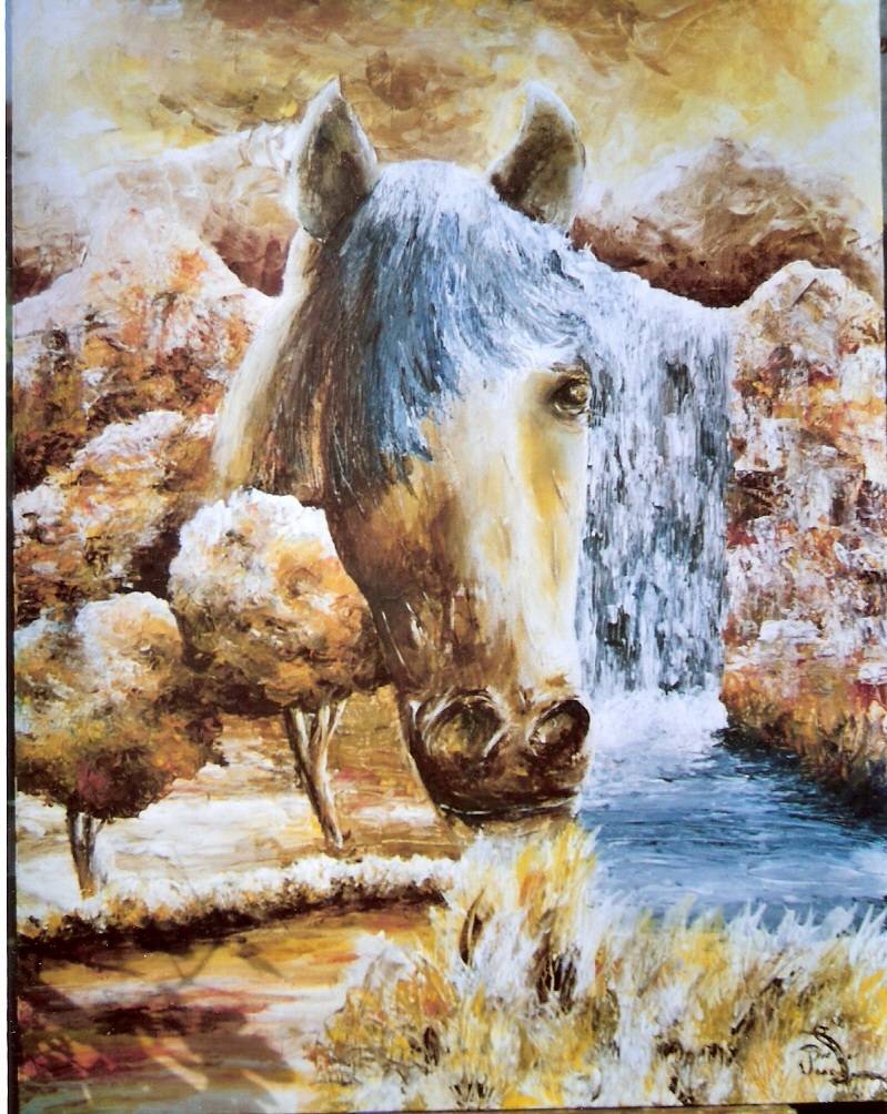 Equestrian dreams. 