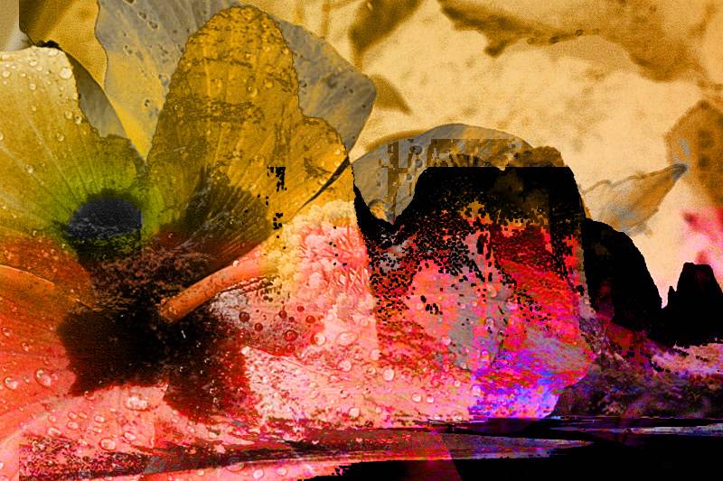 Fossil Idea.  Nicolas Mondoloni