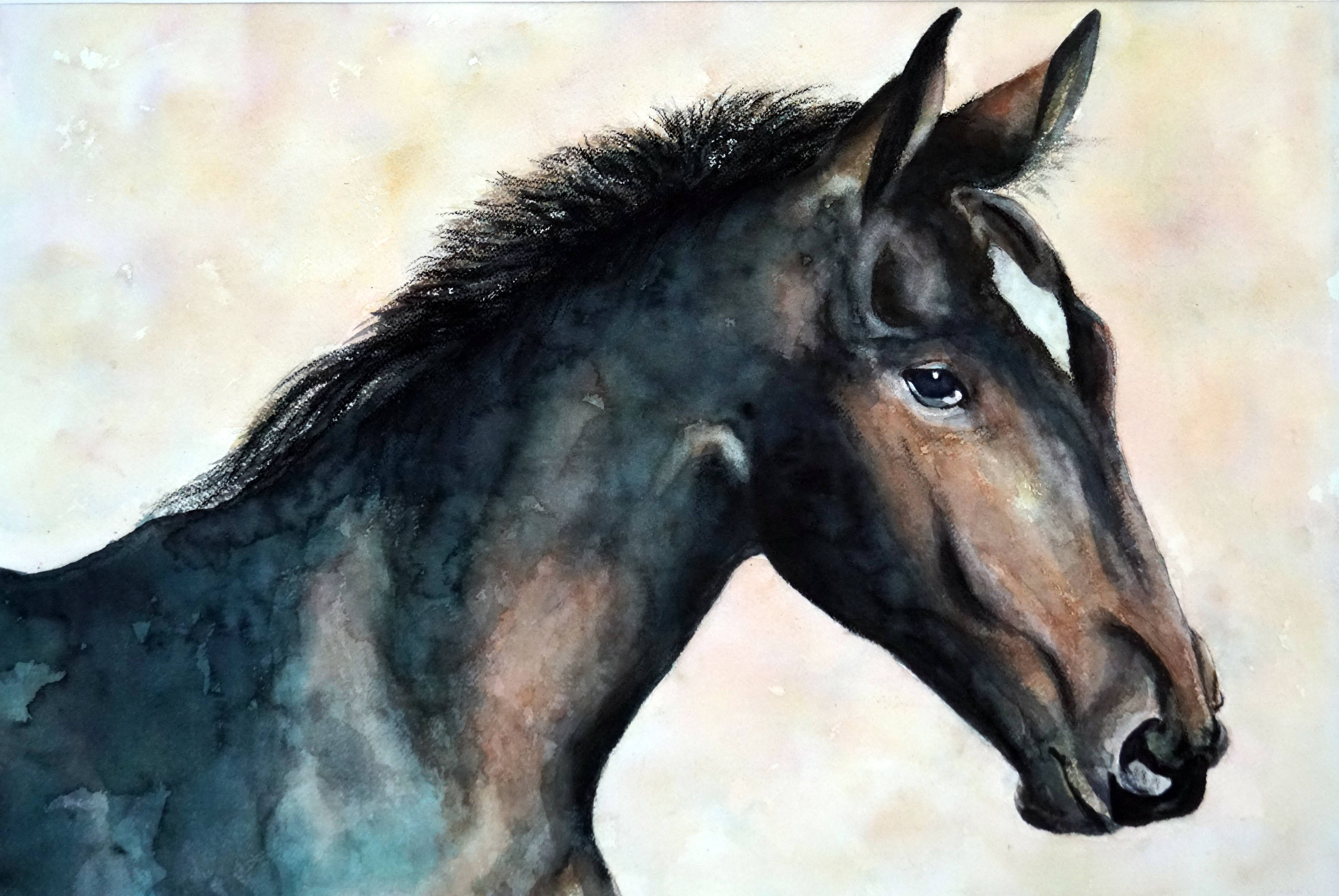 I have great need to gallop!. B. Sannier Bernard Sannier