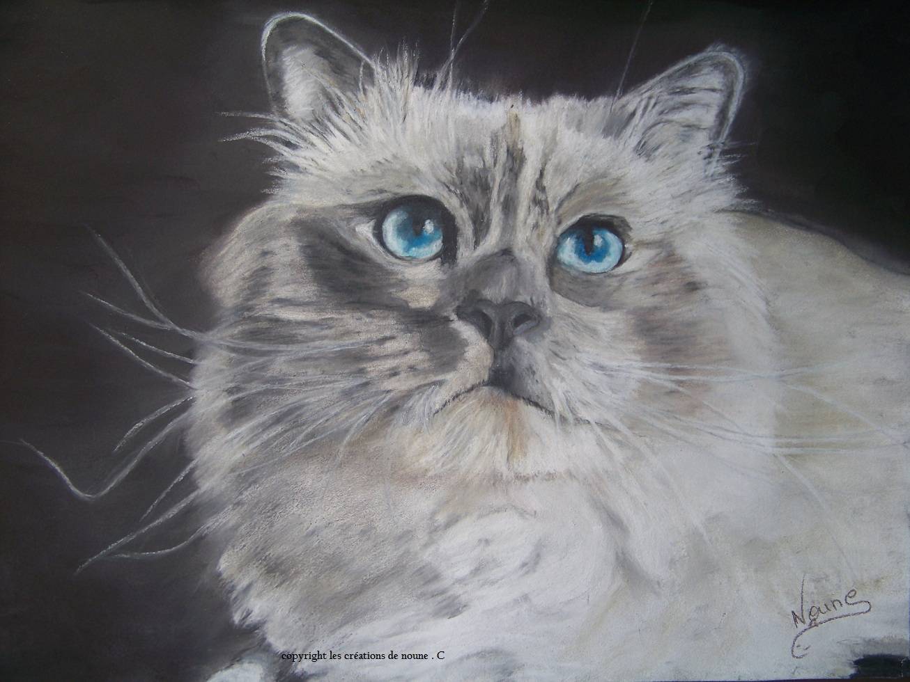 Tenderness - portrait Burman. Noune Donnay Karine Donnay