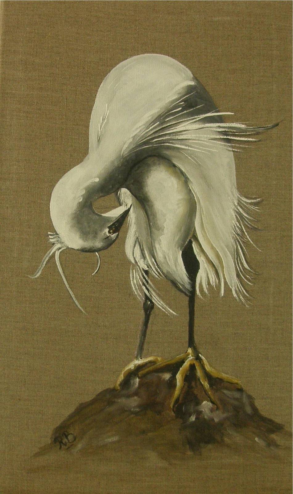 Toilet of the egret. 