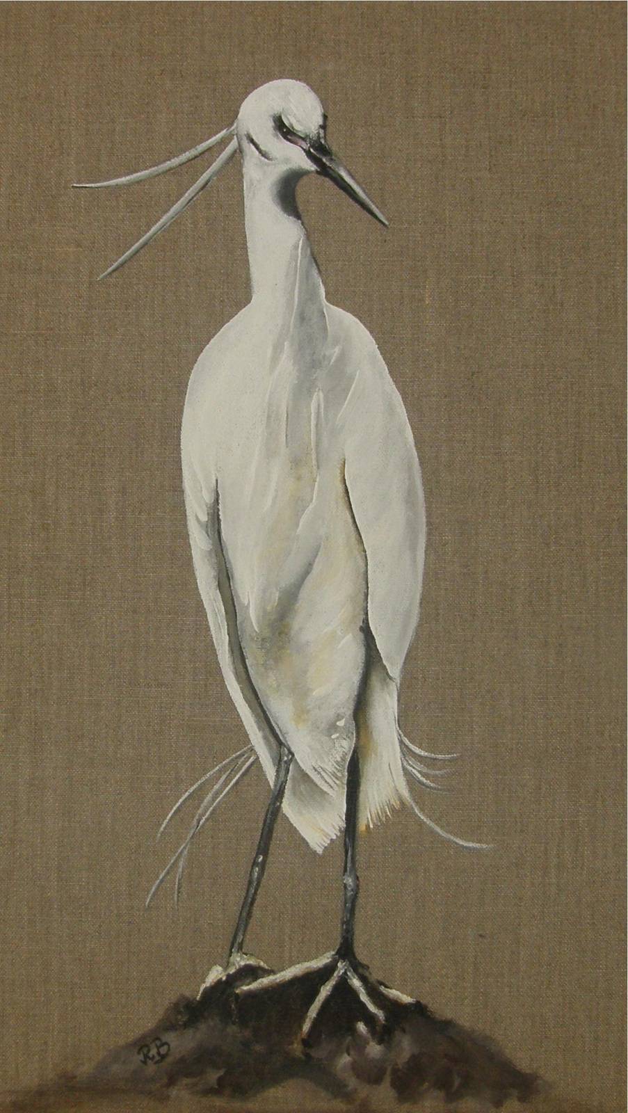 Toilet of the egret. 