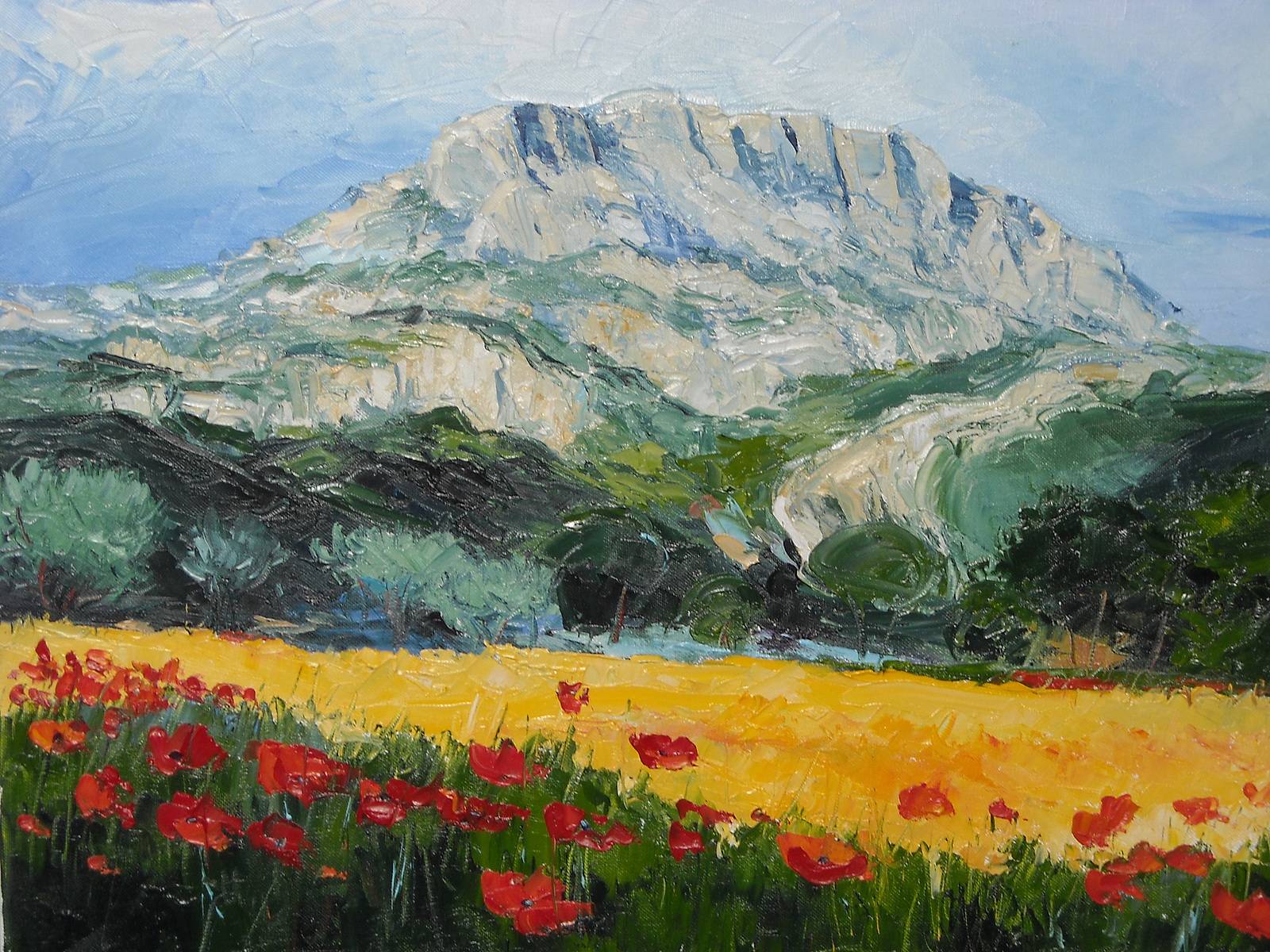 Poppies at the Sainte Victoire (Aix mountain). 
