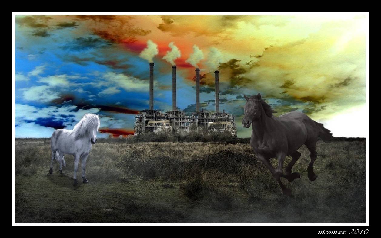 Escape . Nicomax Nicomax