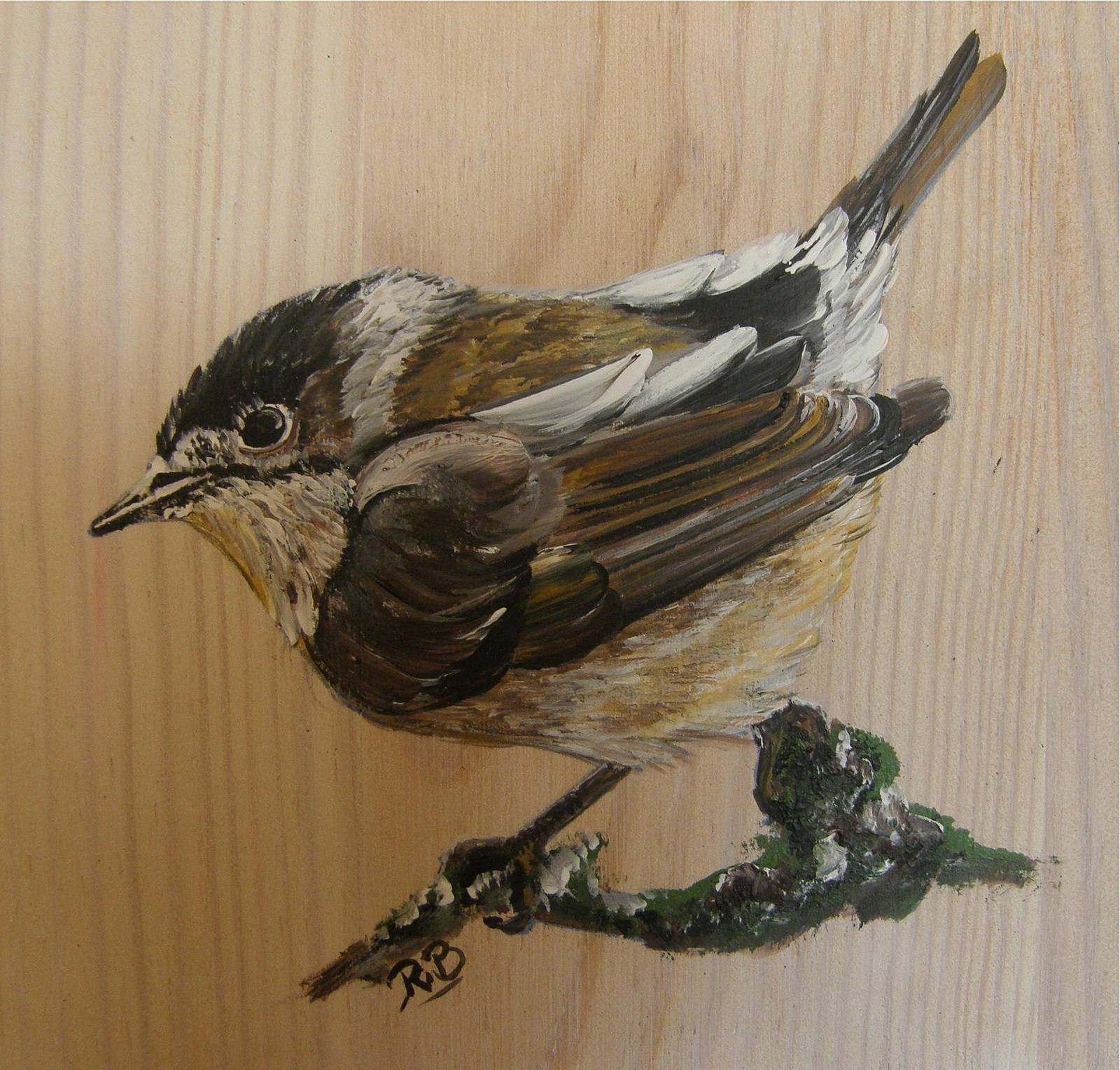 Blackcap. 