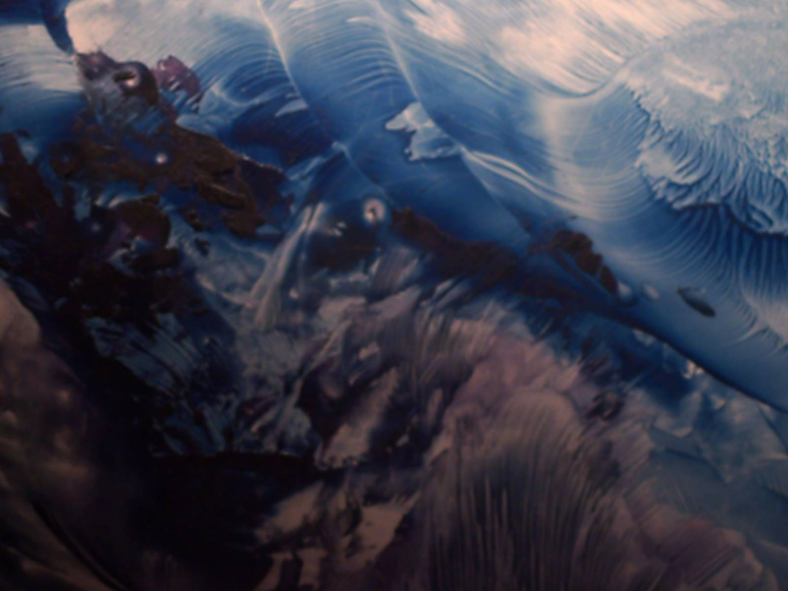 Oil-Pest. Blankanjeva