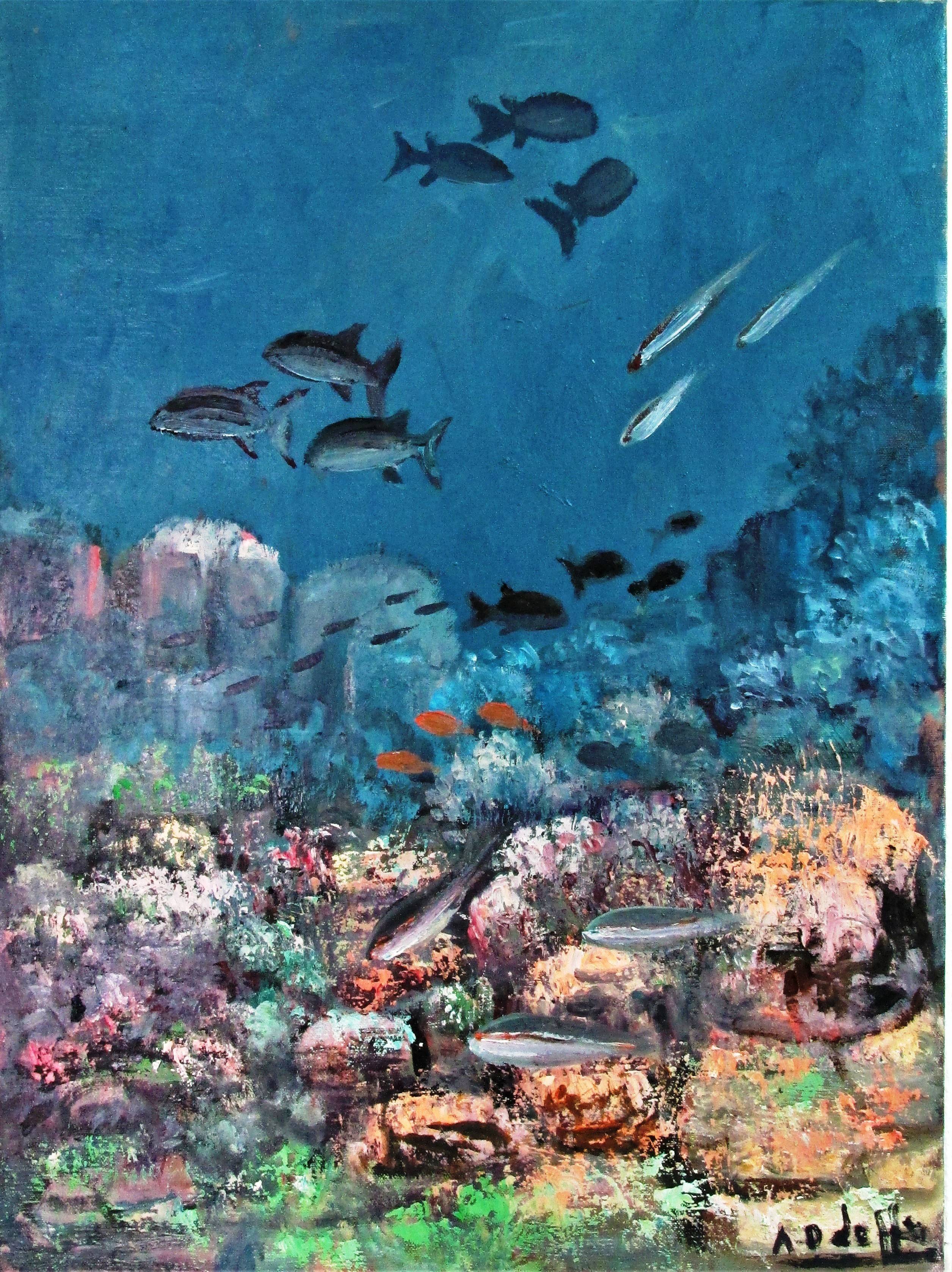 Cae la noche en Verano.. 