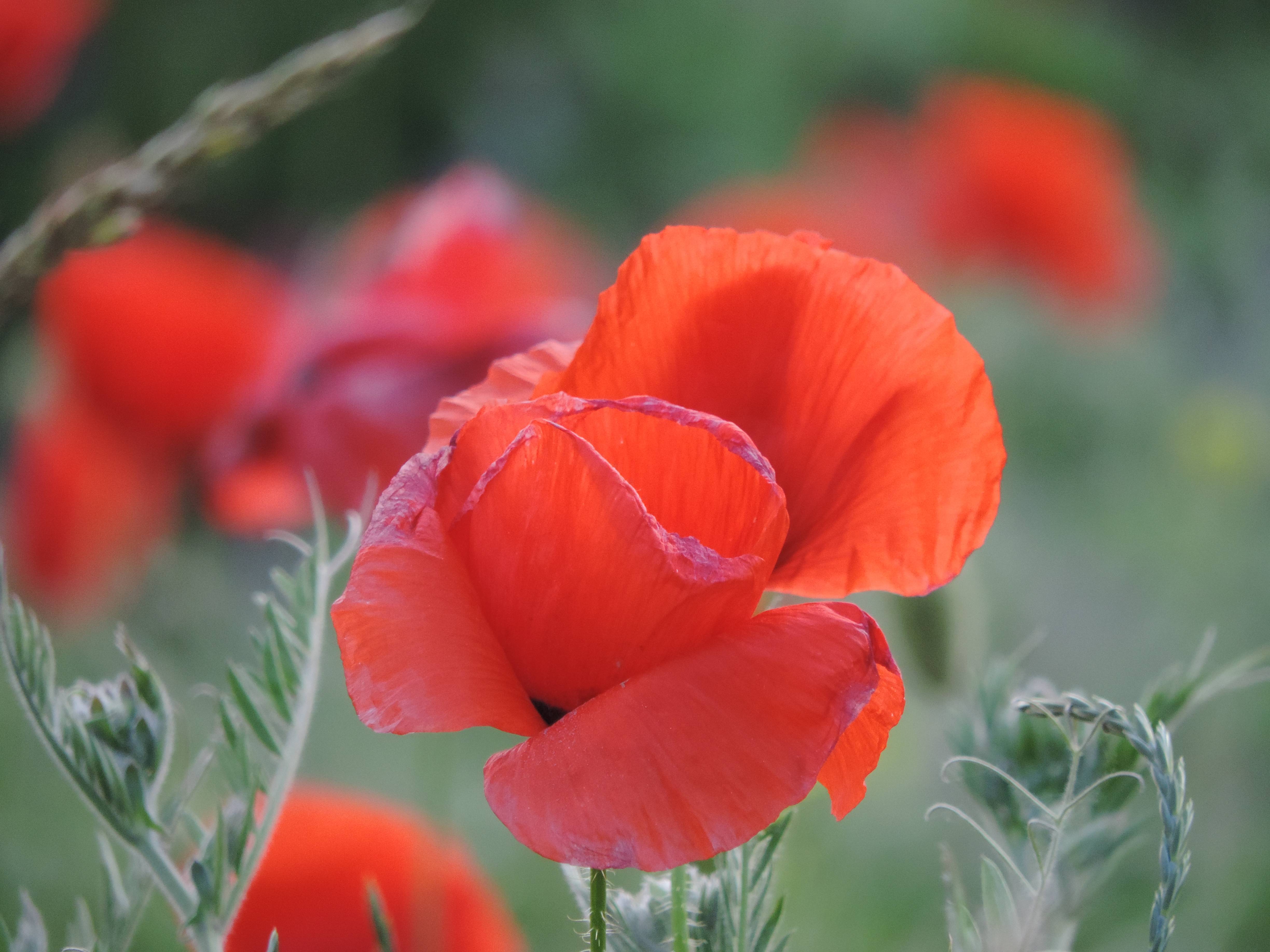Stormy weather. Friedrich Kocevar