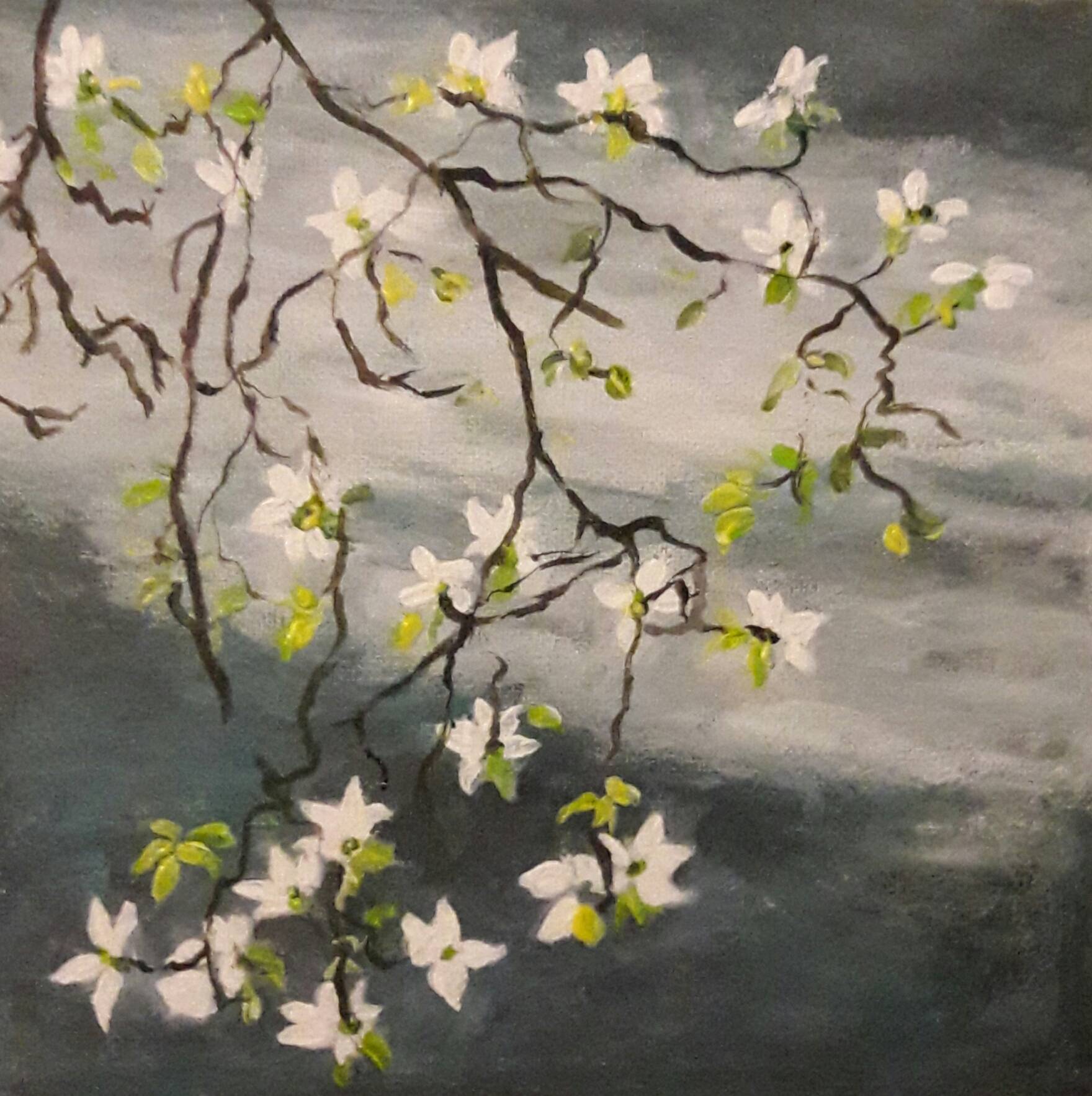 Fleurs de prunier. 