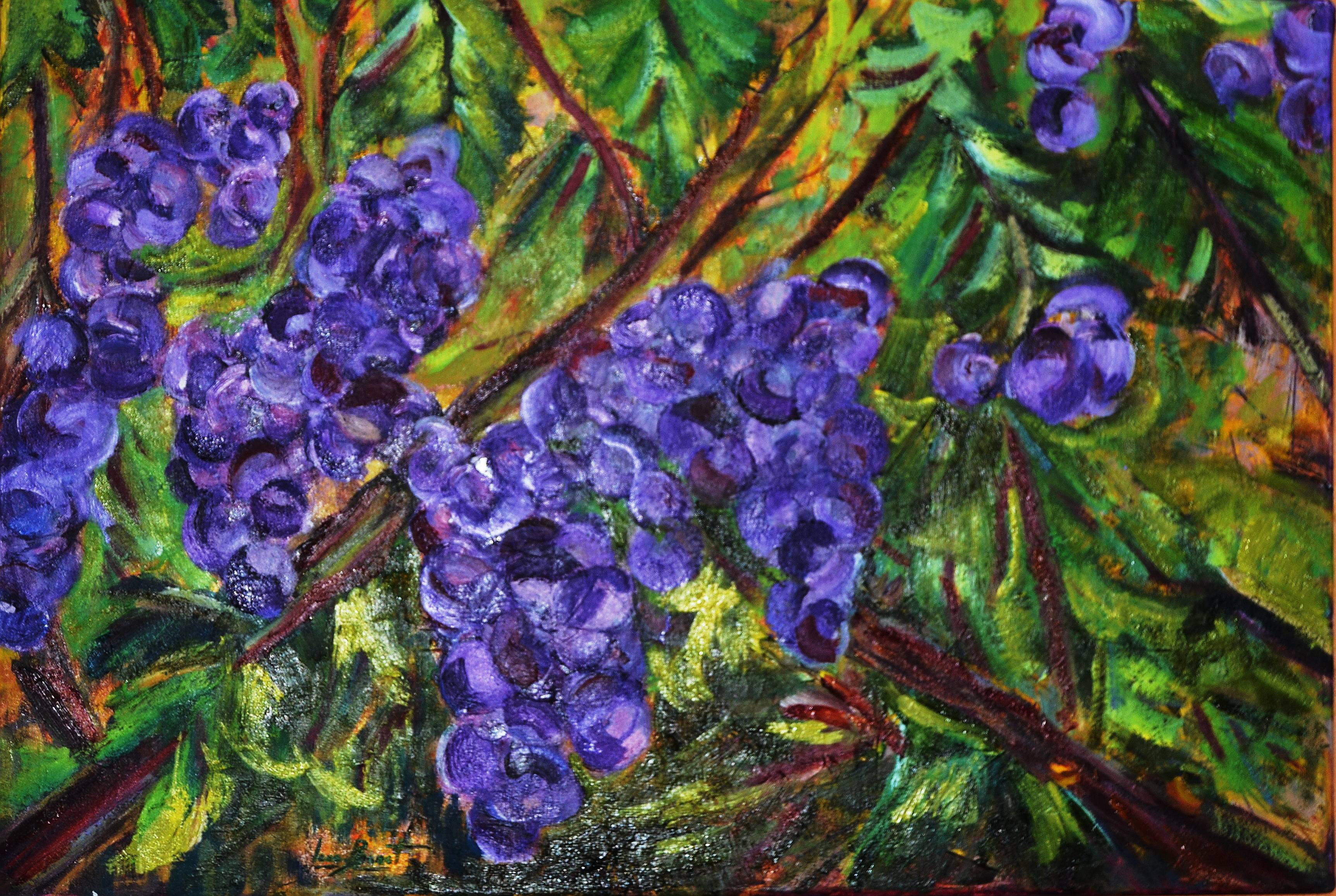 Ramells de raïm. Imma Banet Imma Banet Illa