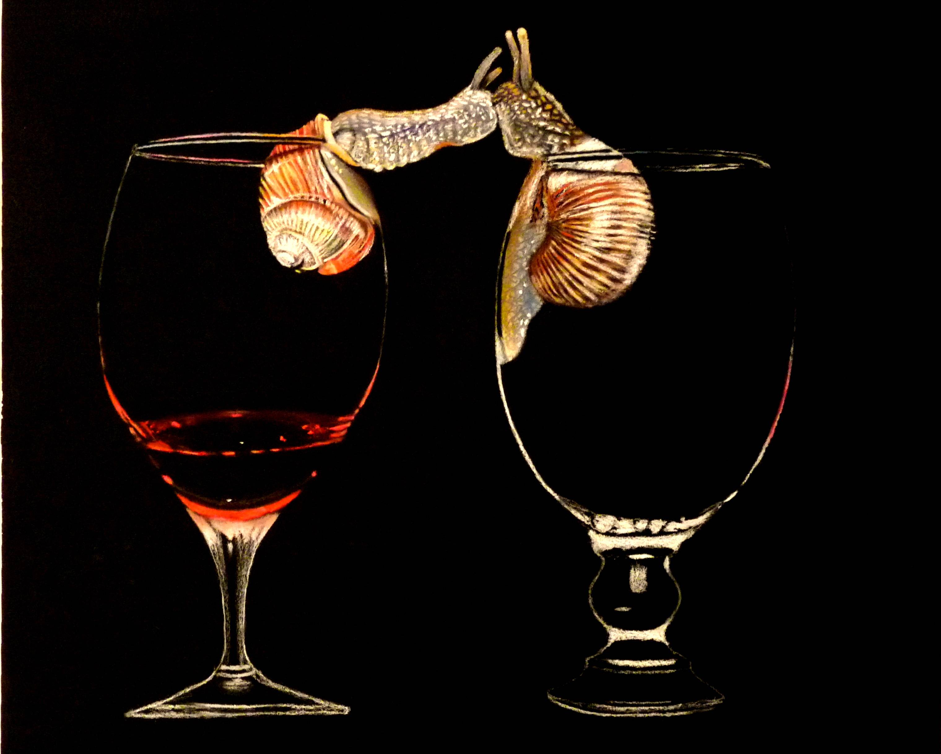 Gastéropotes. 