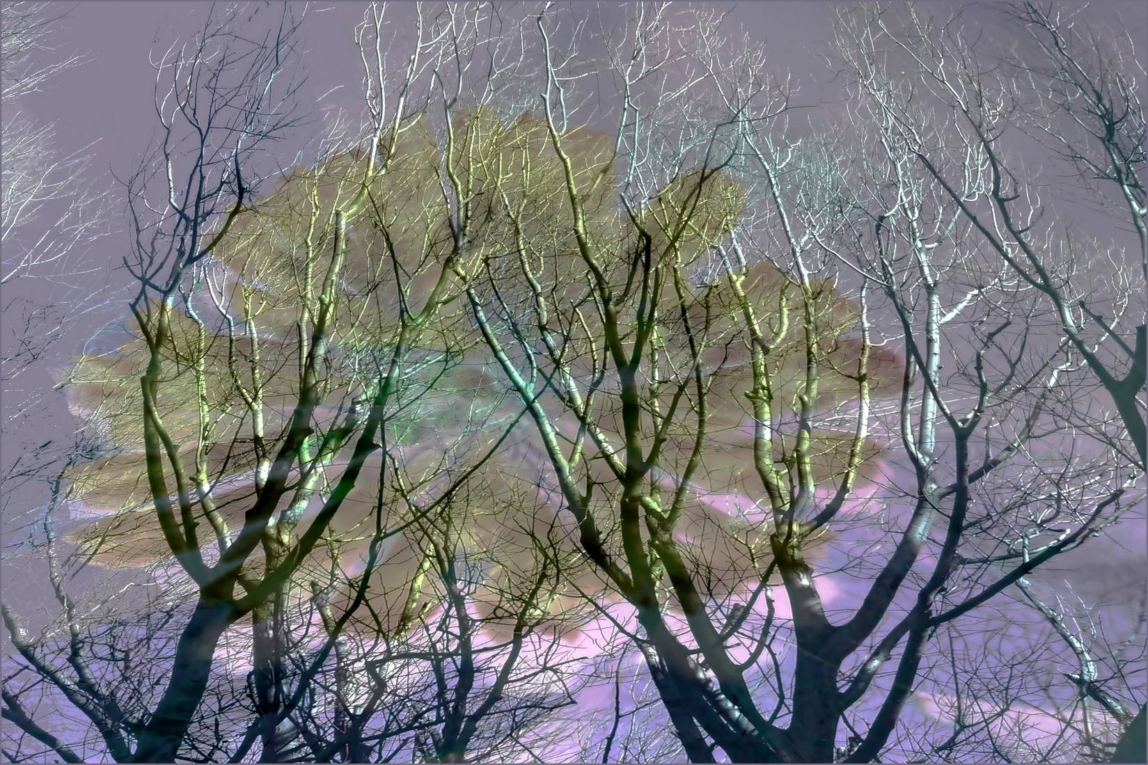 Formation en colère. 