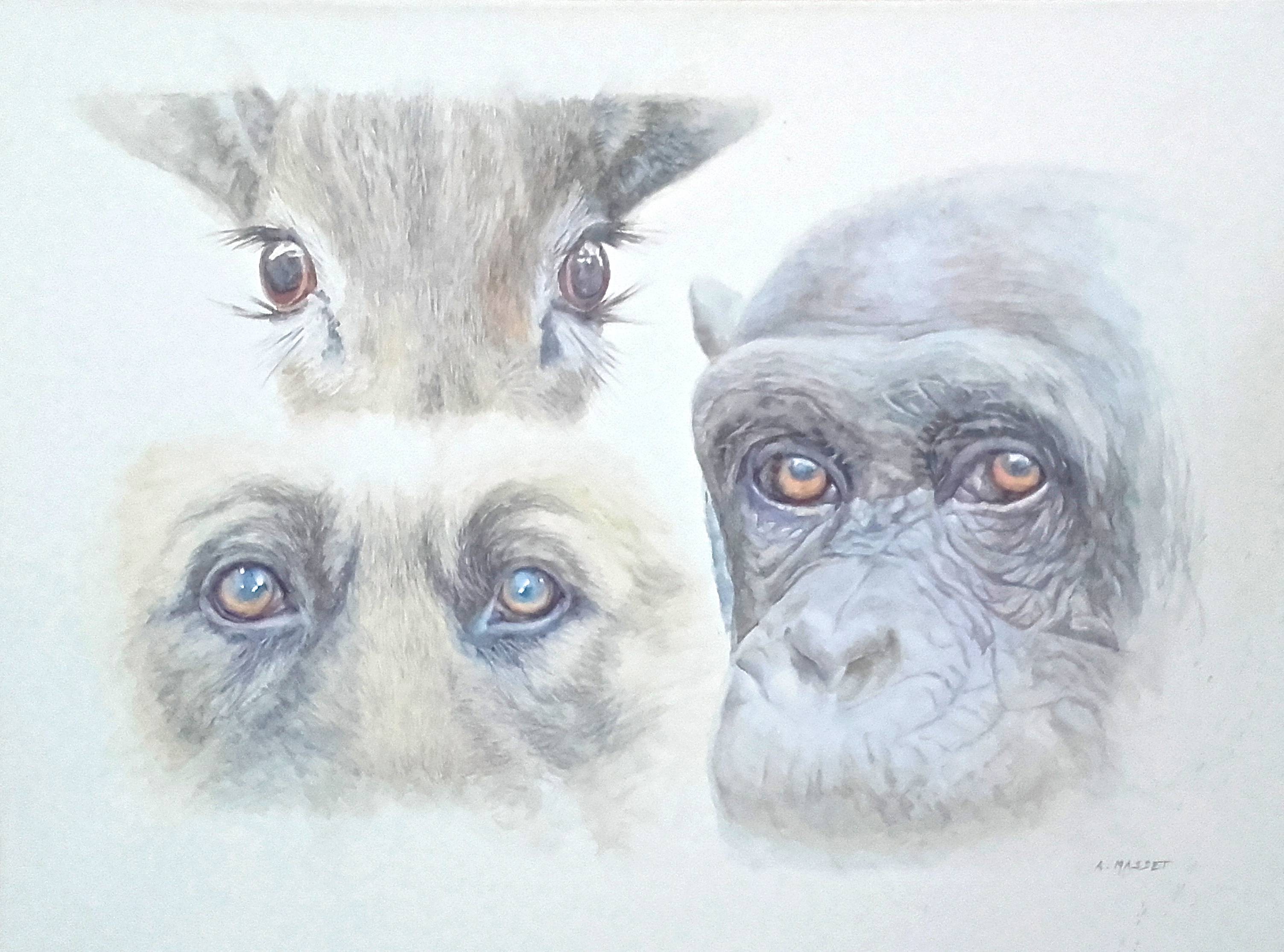 Animal:anima. Alain Masset Alain Masset