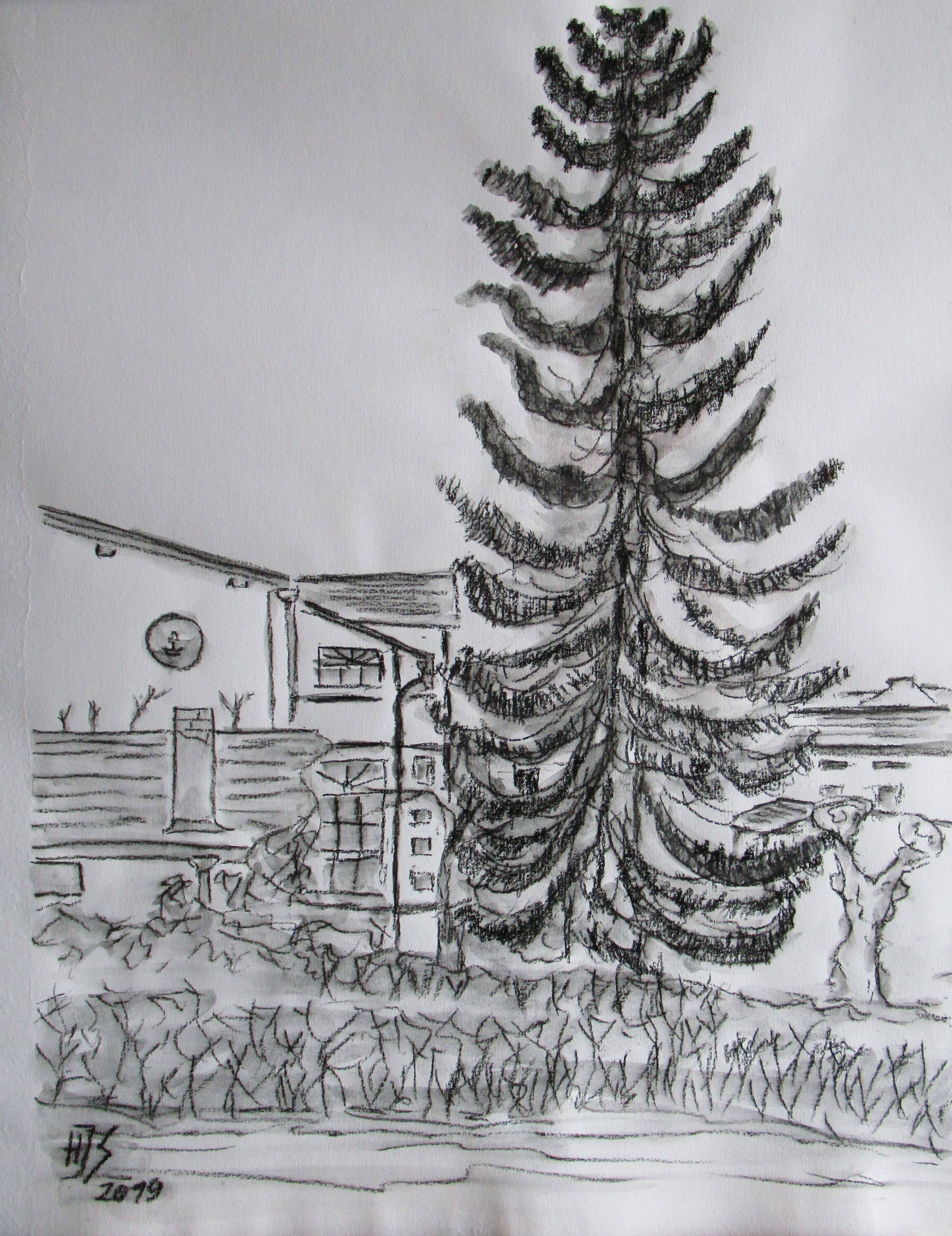 Hohe Tanne am Kastanienschlößchen. 