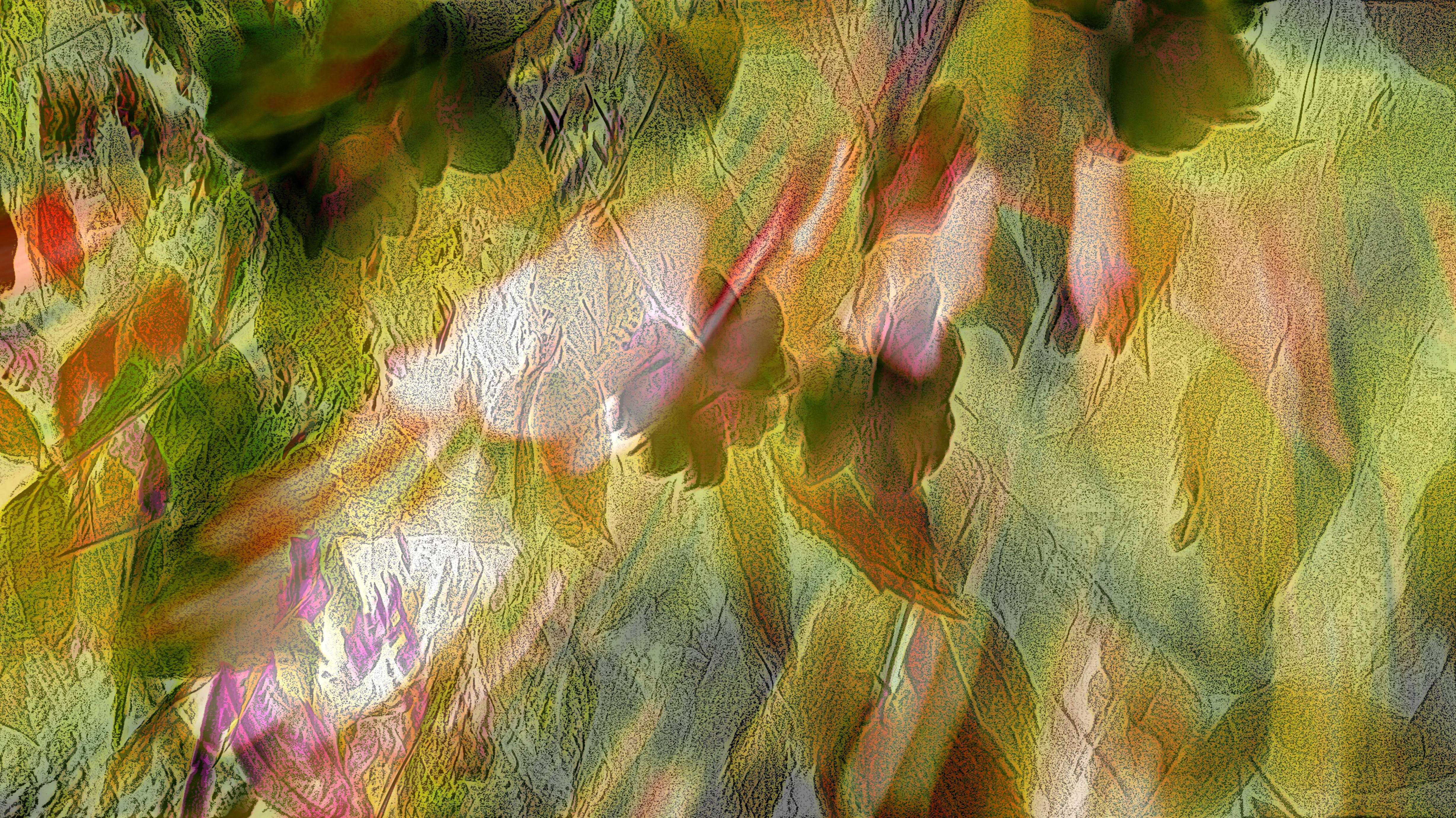 L'envers des fleurs !. 