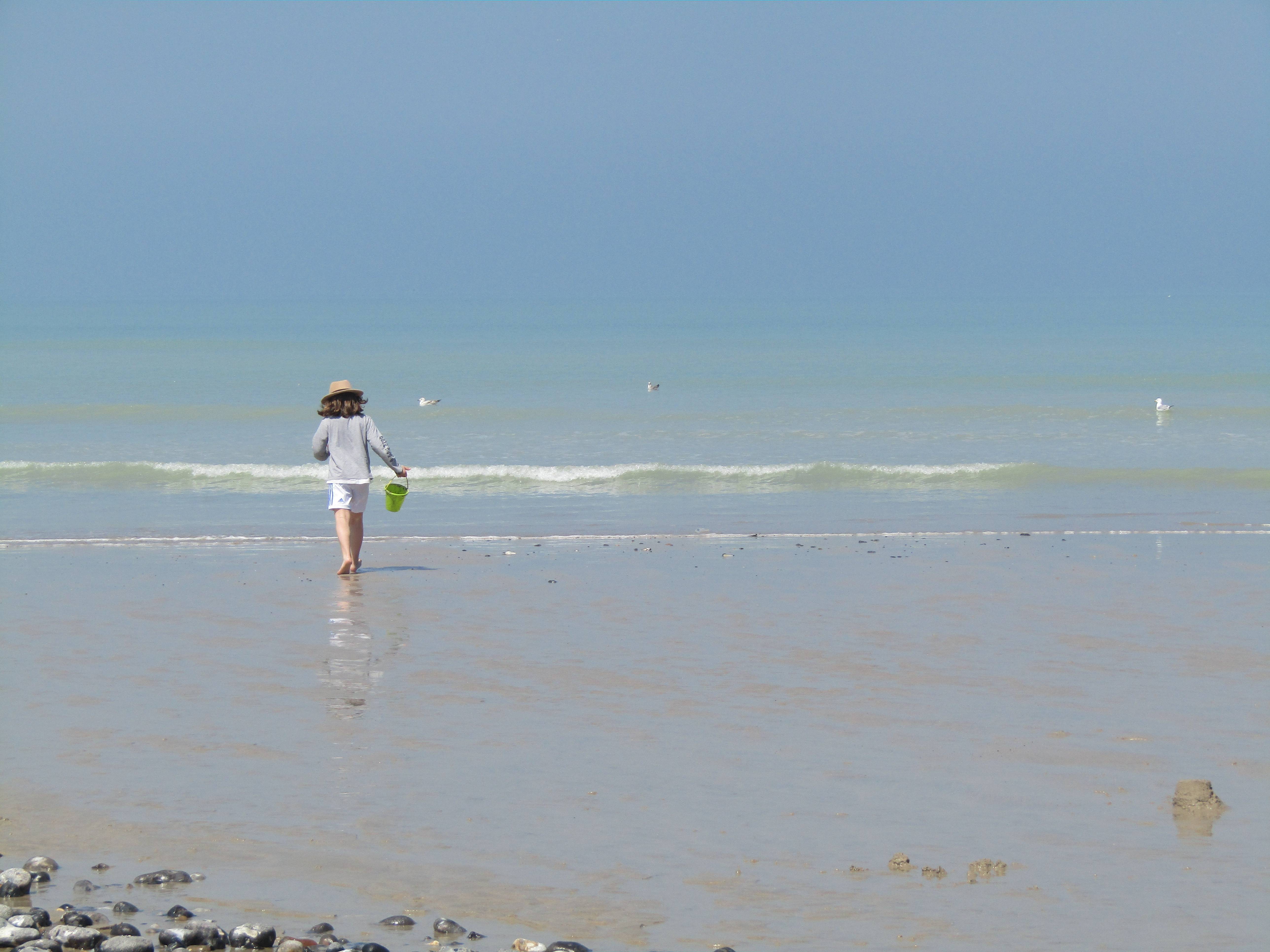 Le temps de l'enfance. Nathalie Hochard-Gaudry