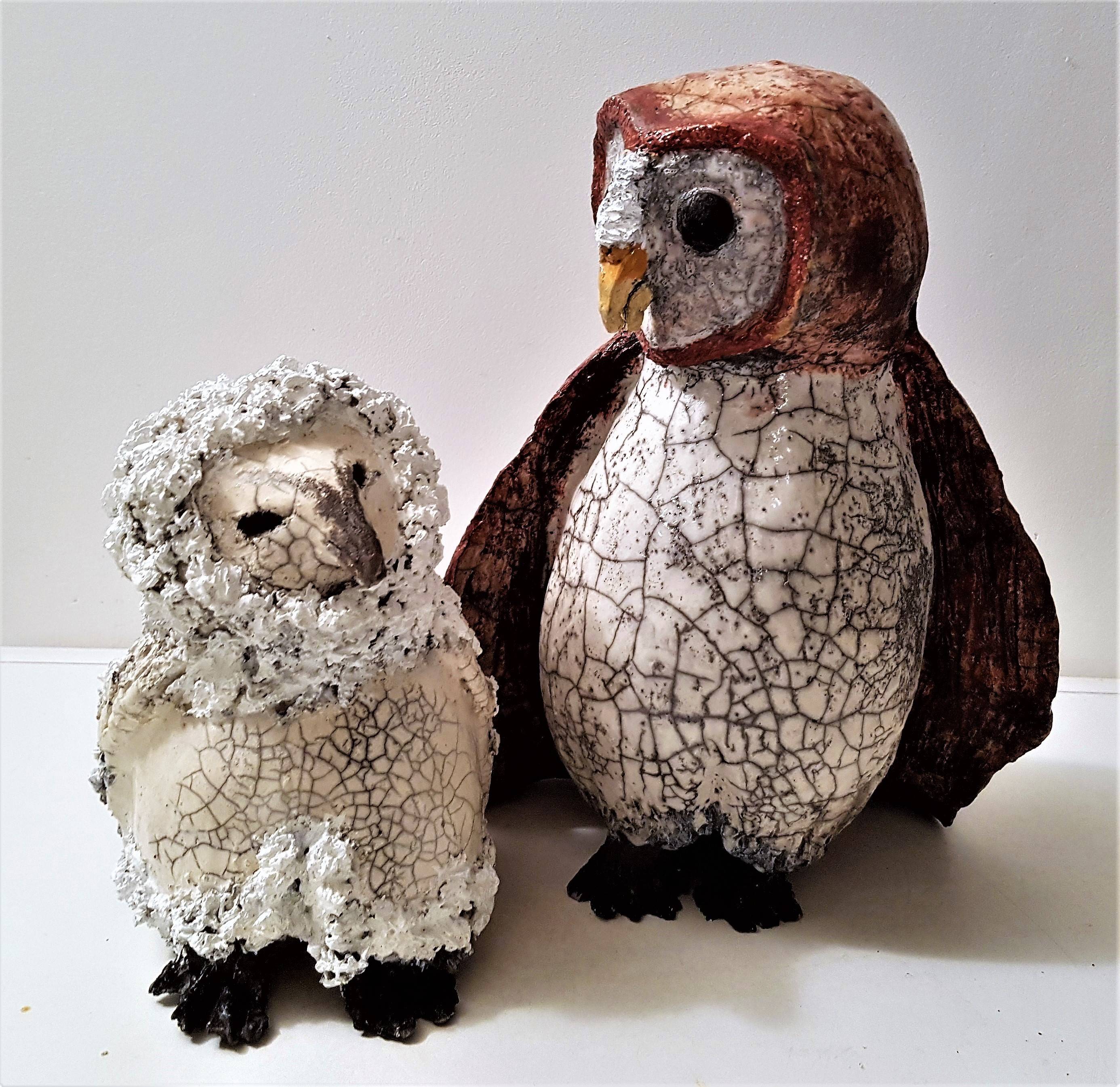 Nice owls!. Daniel Le Curieux Daniel Le Curieux