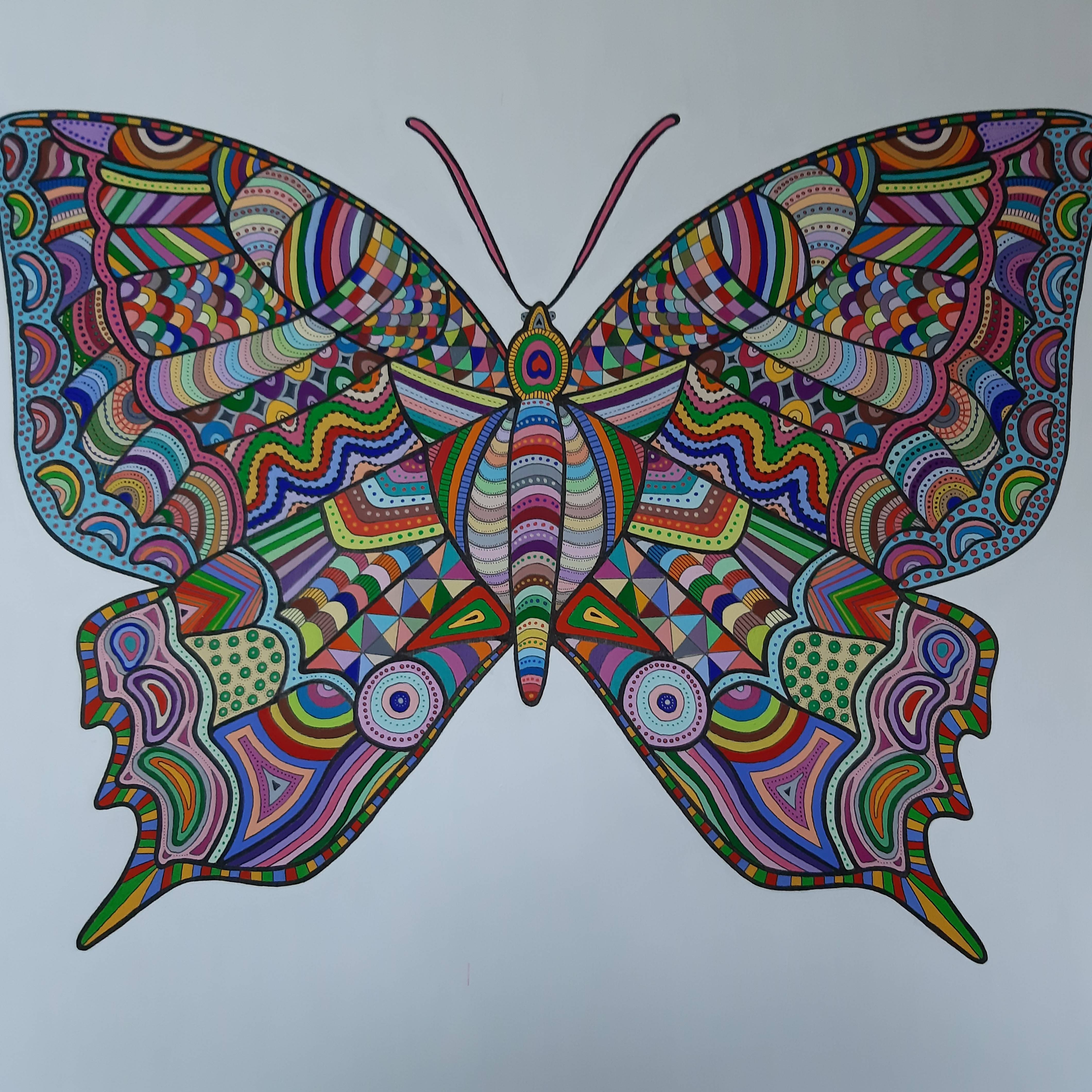 Extreme rare butterfly. Franklin Van Dam Franklin Van Dam