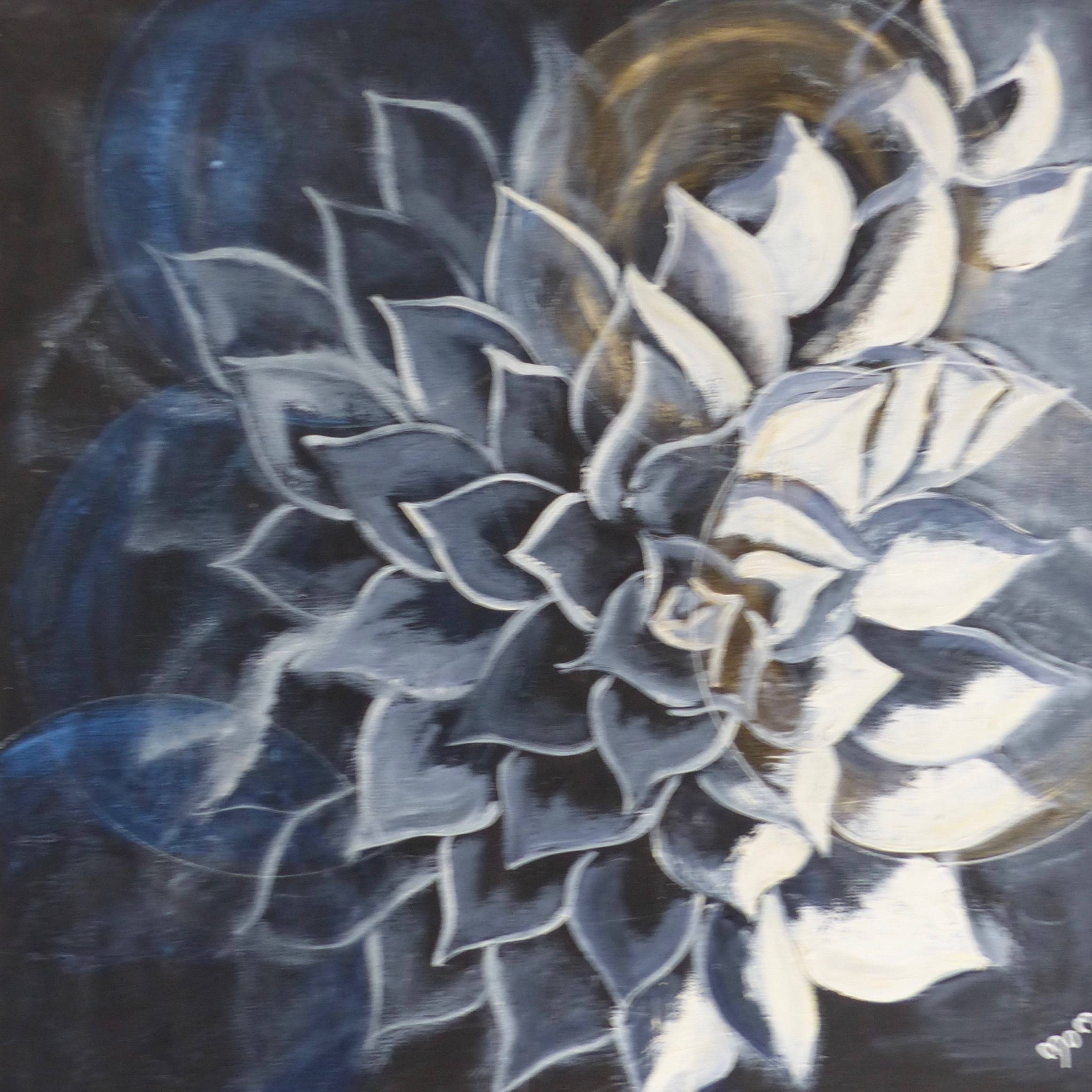 Succulente en noir et blanc. 