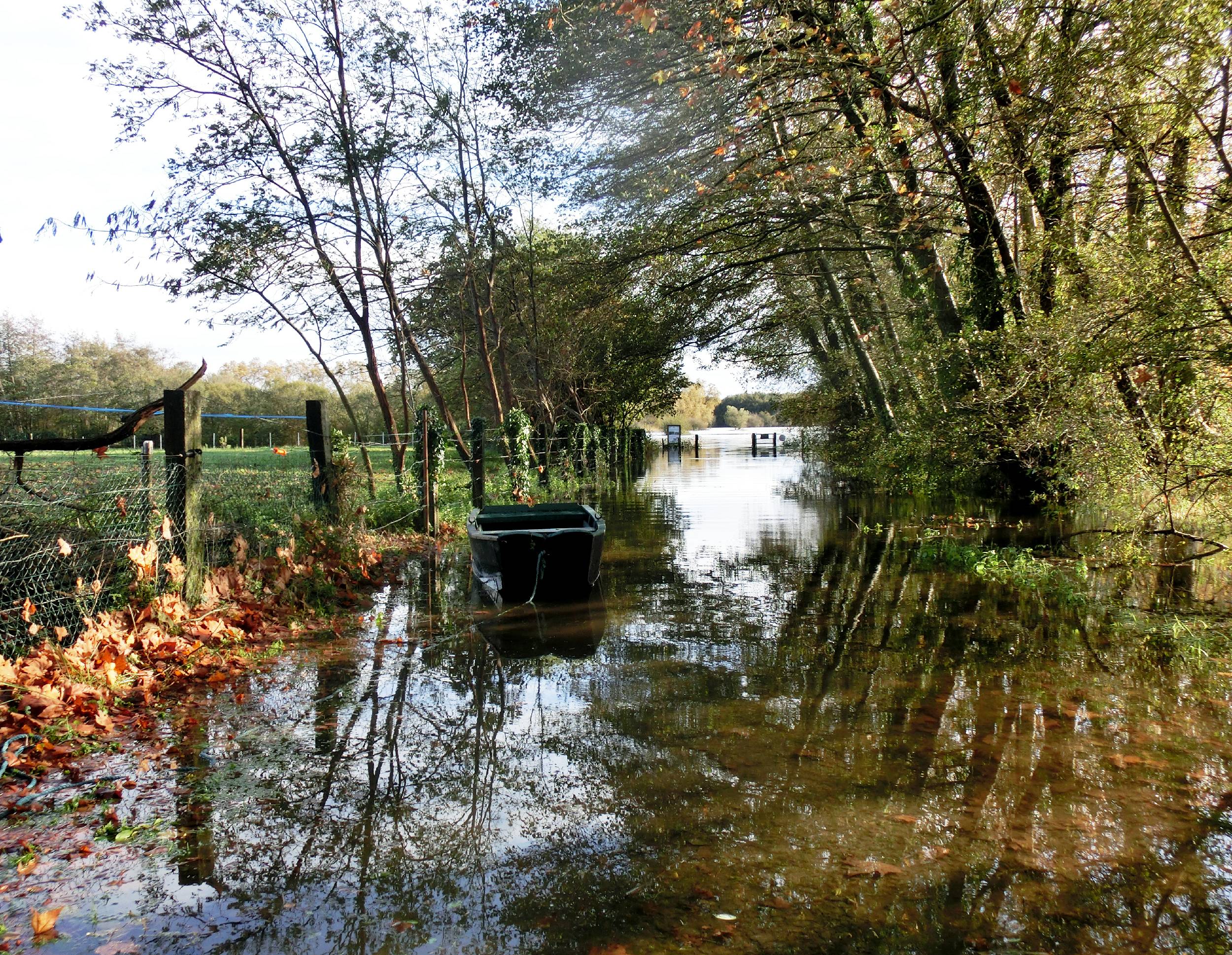 Locomotion de circonstance…. 