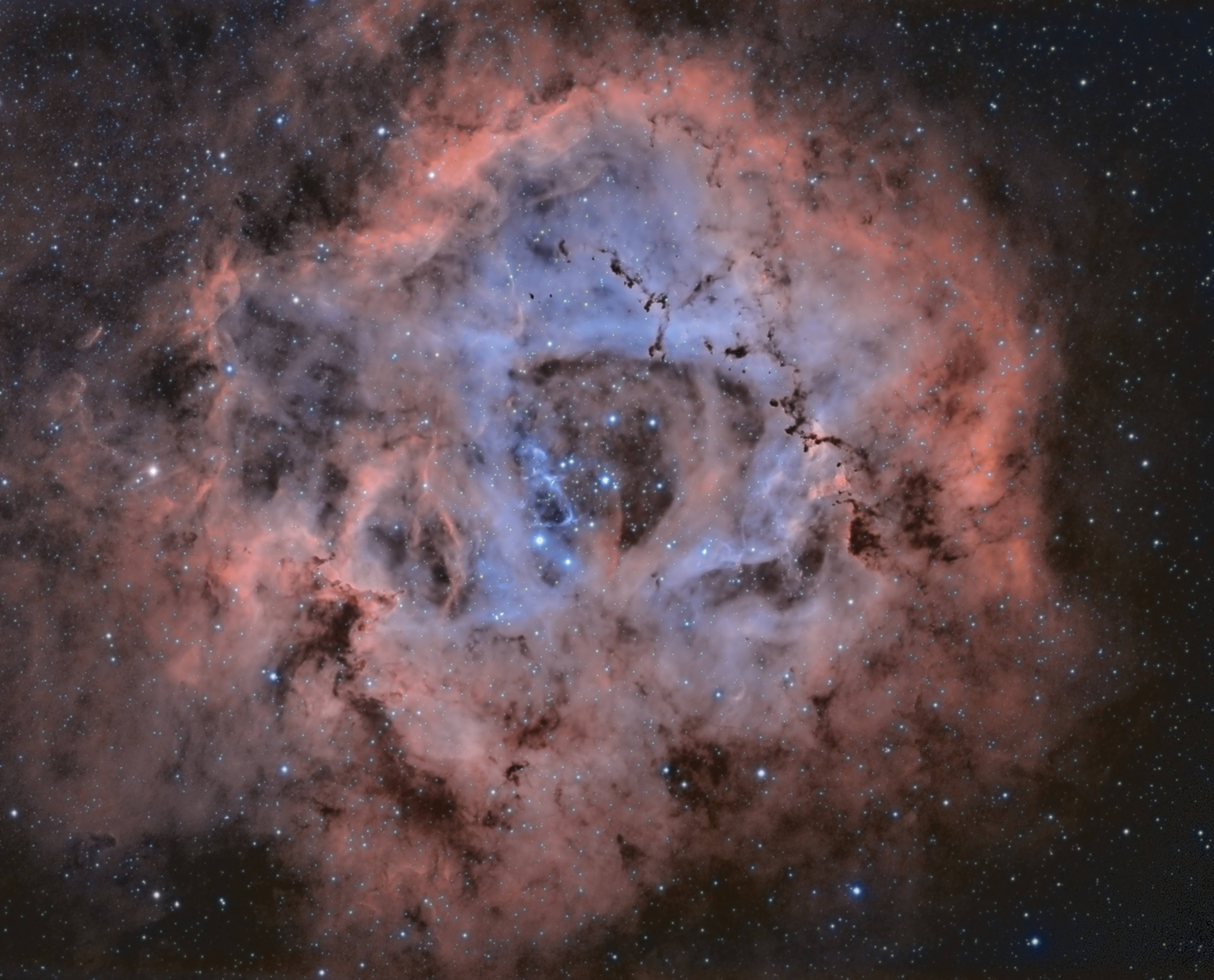 The Rosette Nebula. David James David James