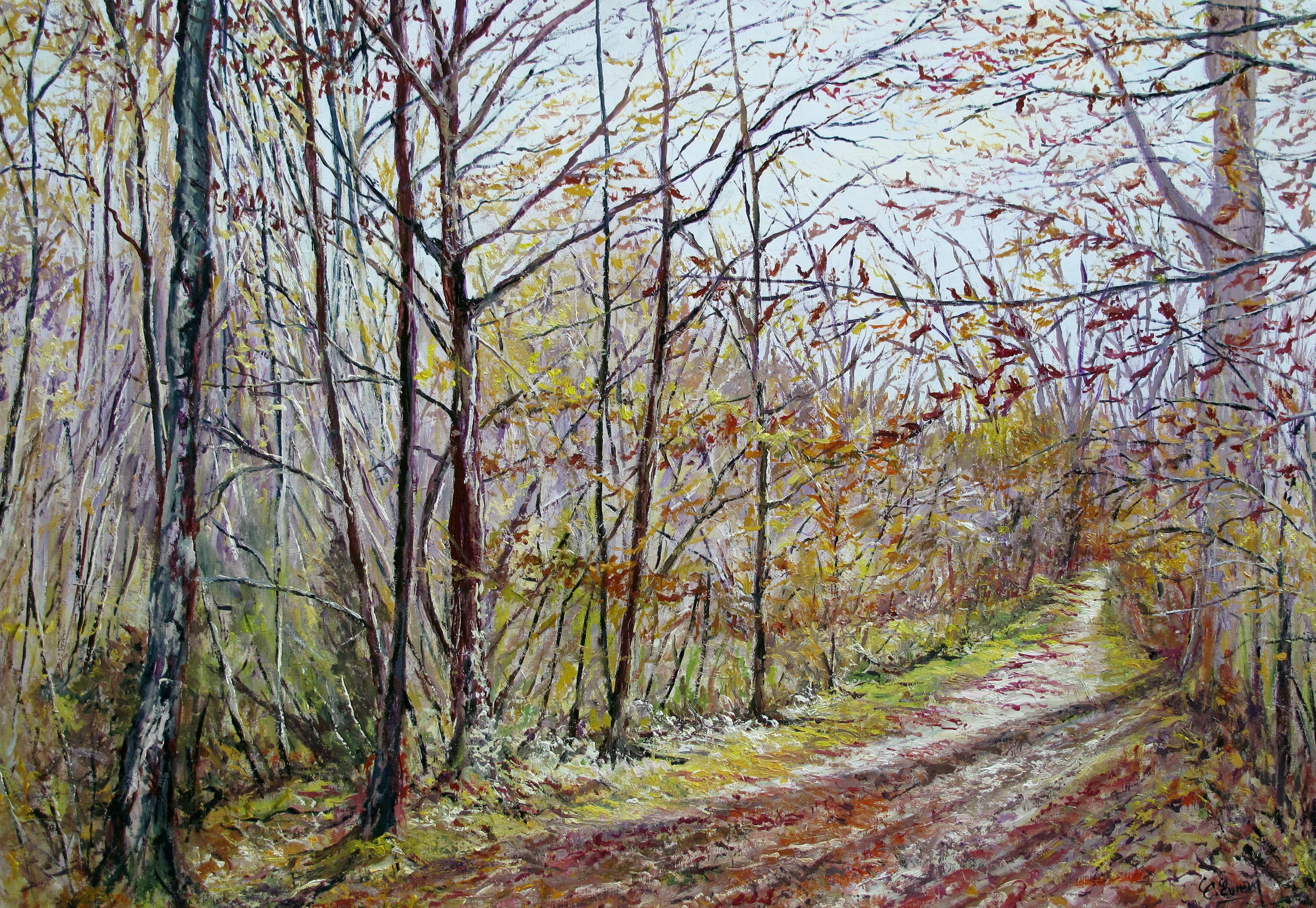 L'allée buissonnière (Bois de la Grange à Yerres dans l'Essonne) France. Claude Evrard
