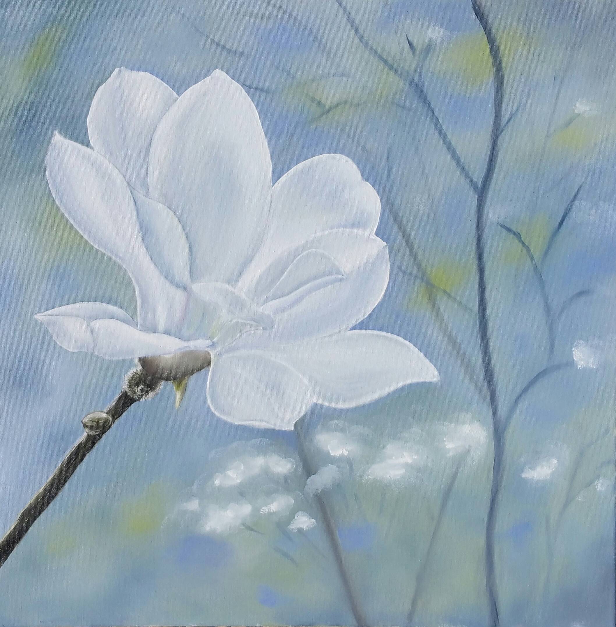 Anémone sur fond bleu. 