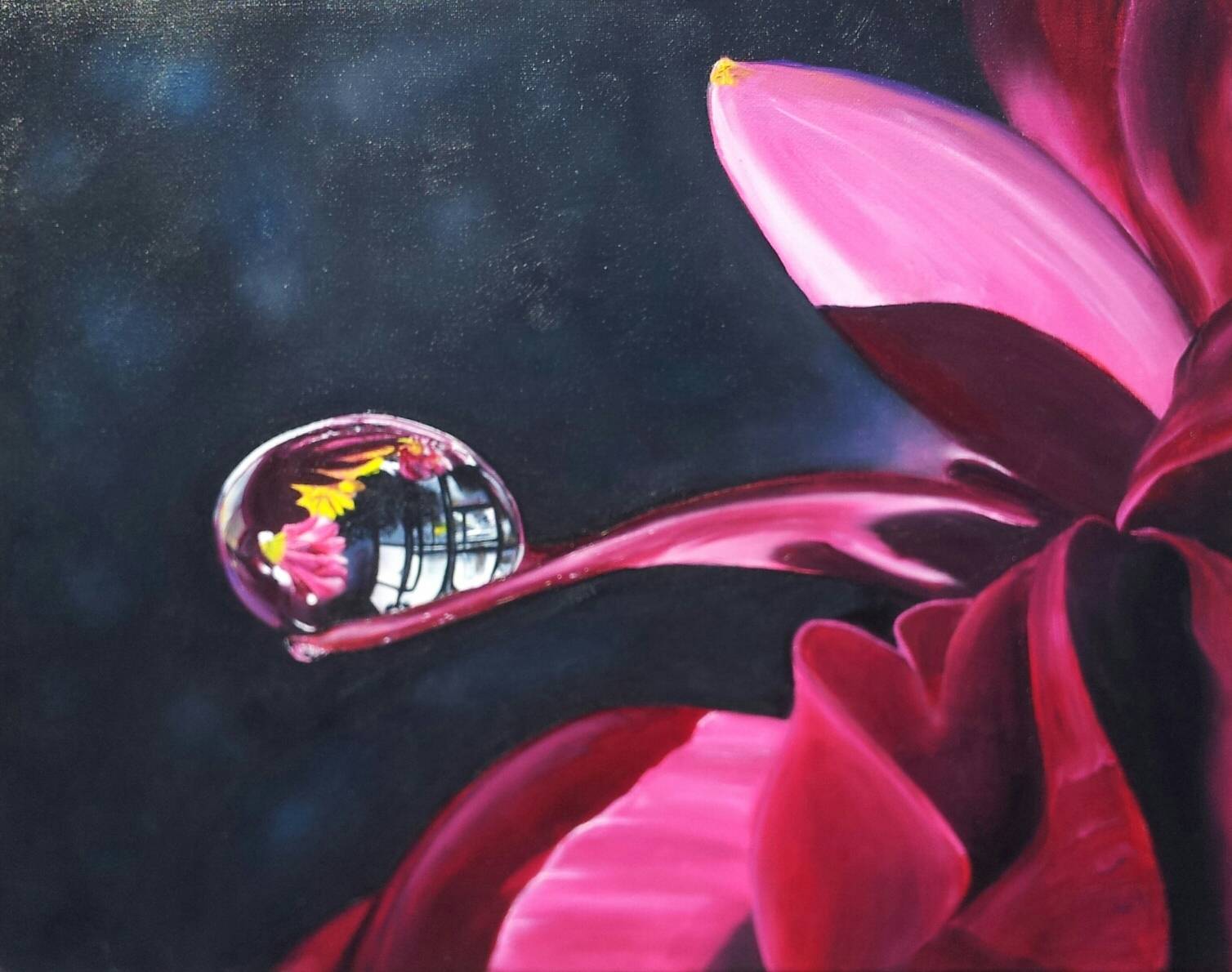 Fleur rouge à la goutte d'eau. 