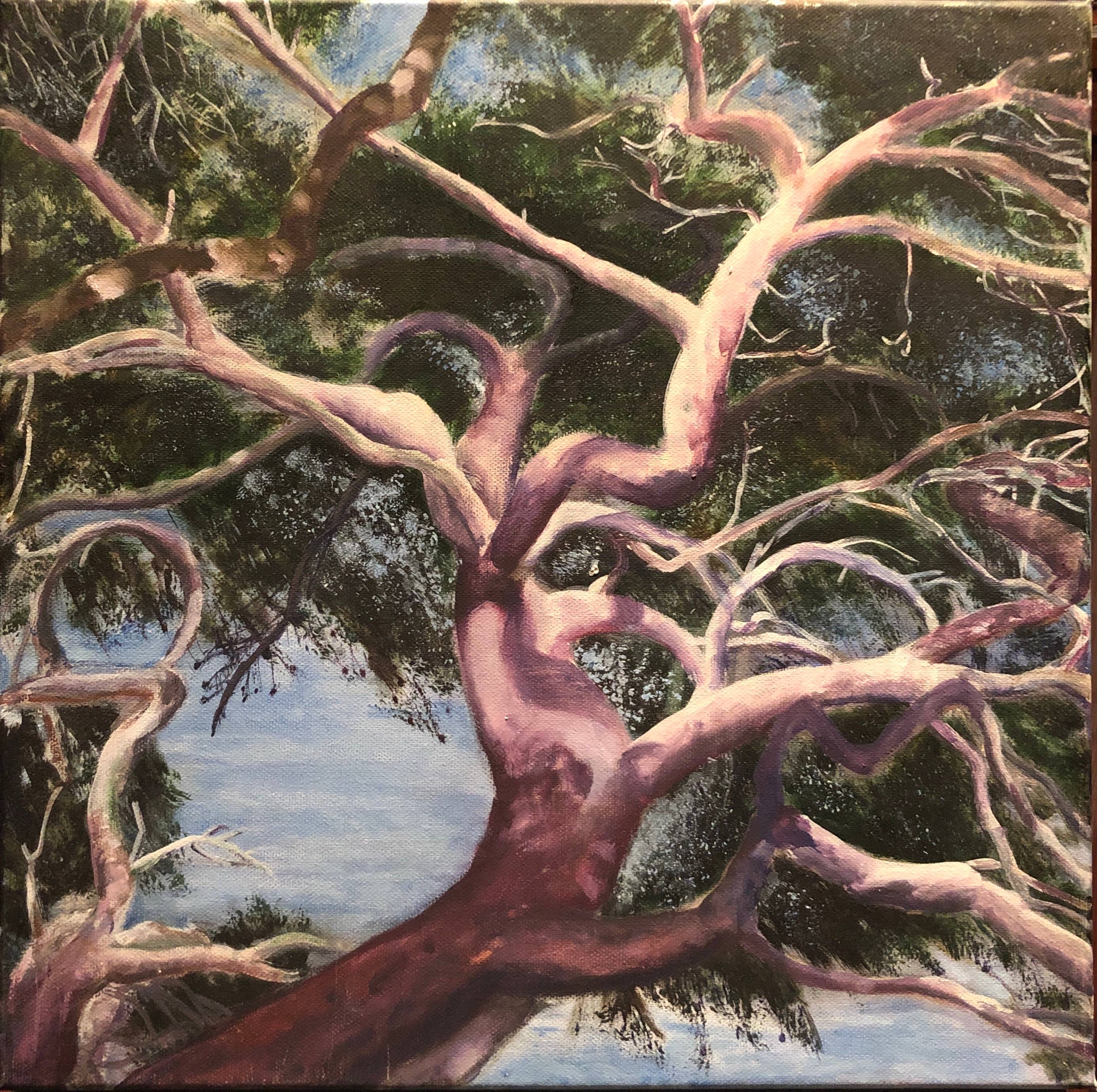 L'arbre dansant. 