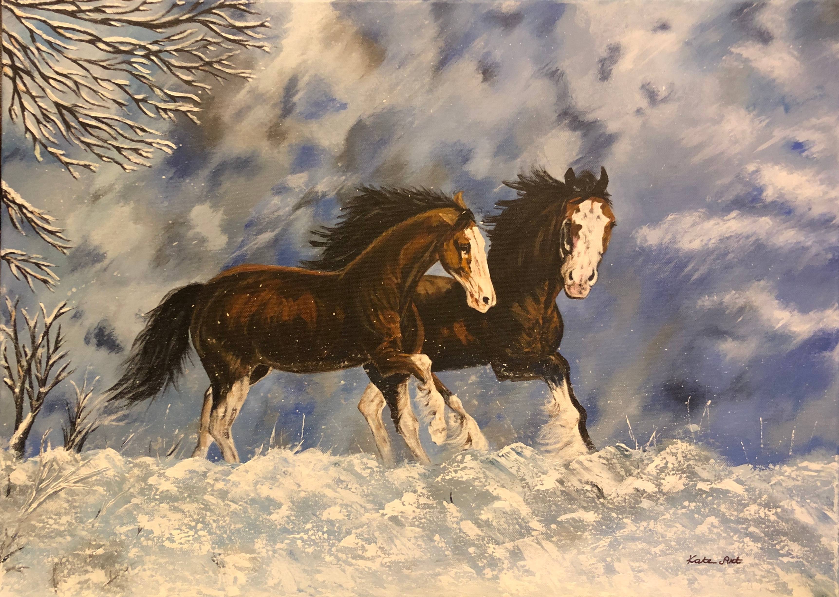 En ballade dans la neige. 