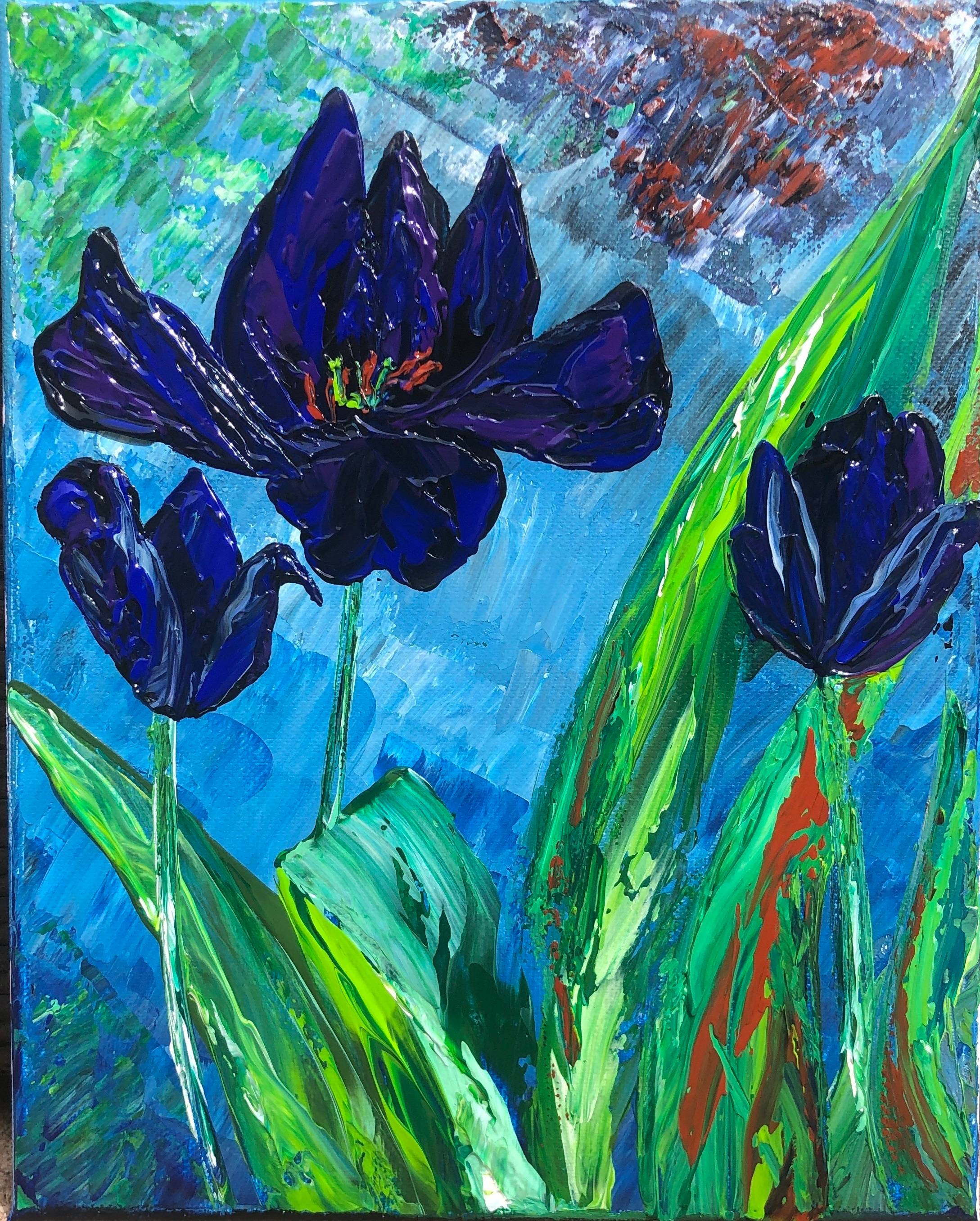 Tulips - Queens of the night. 