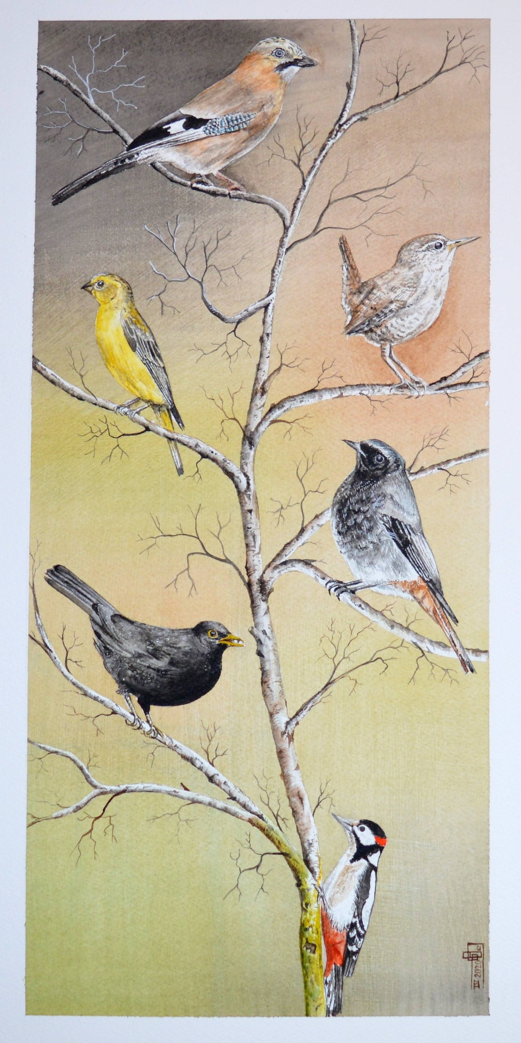 Oiseaux de nos jardins. Gérard Bel