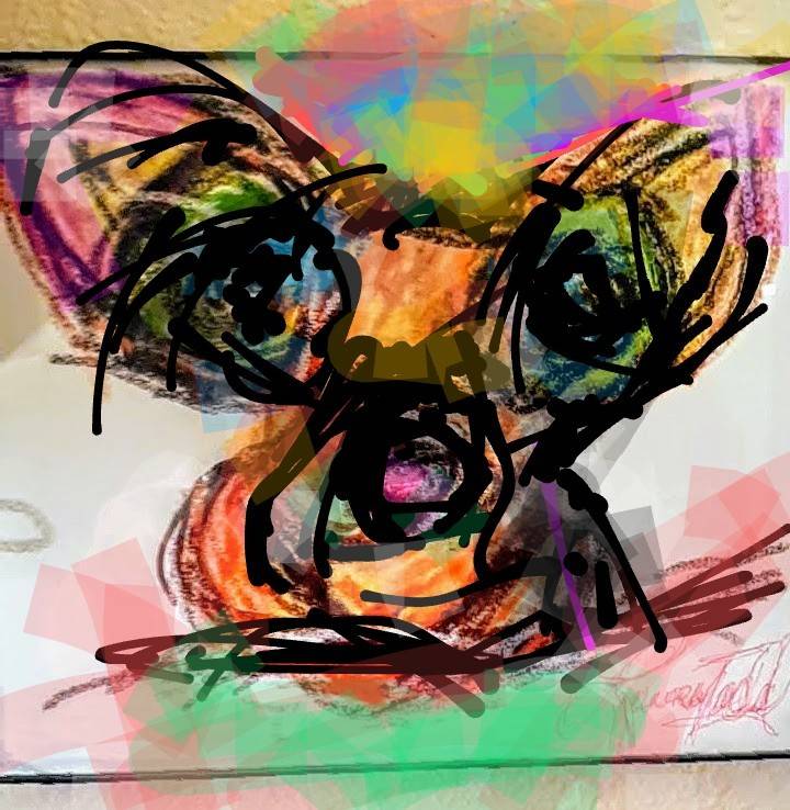 My Chihuahua. Laura Todd