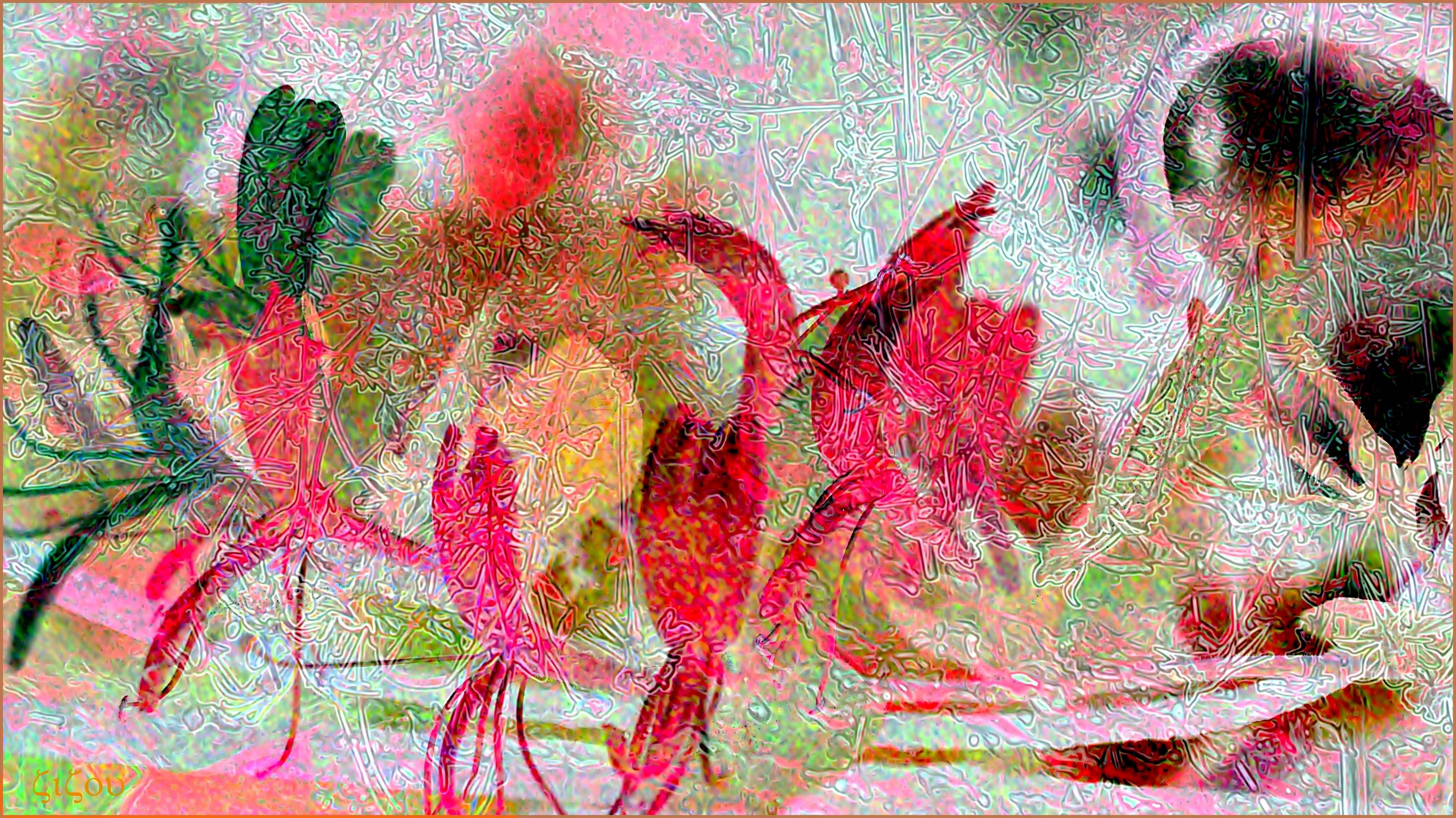 Le jardin déguisé !. 