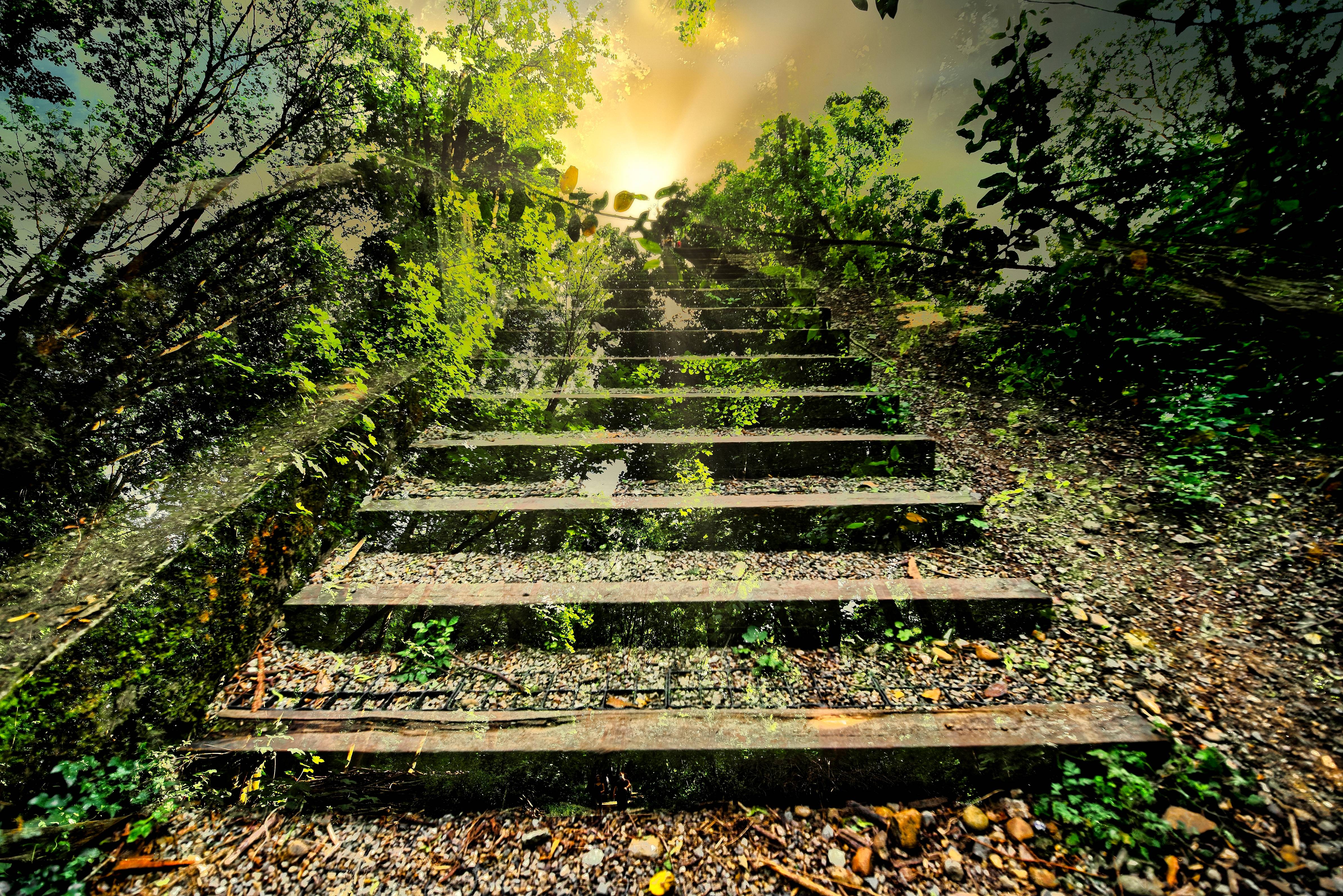 Montée vers la lumière. 