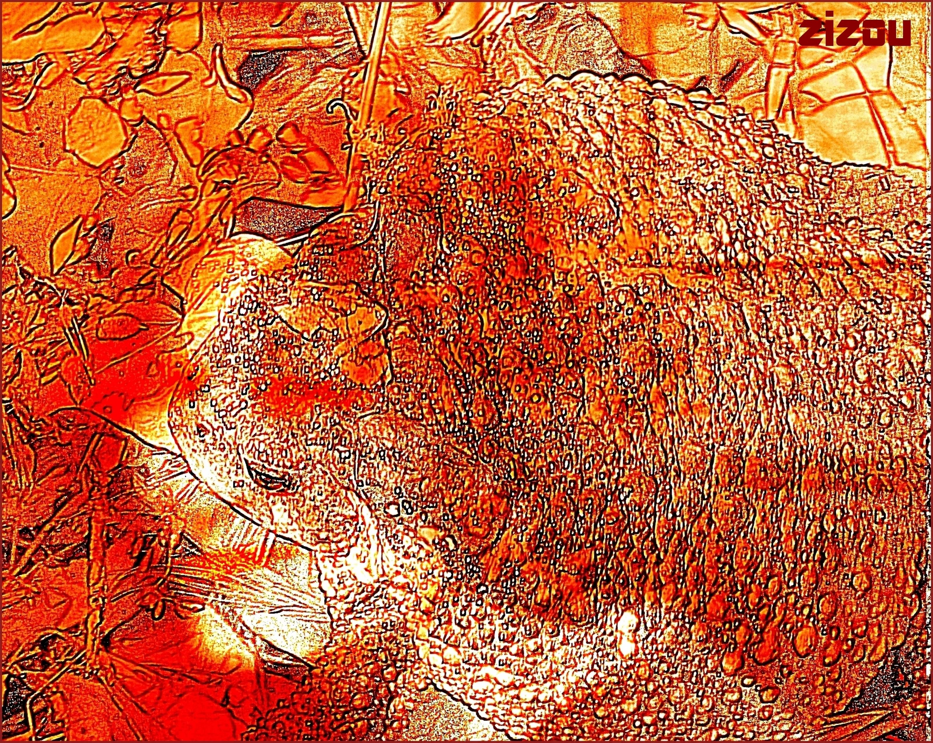 Rencontre avec Ste Rita, moi-même et un crapaud.. 